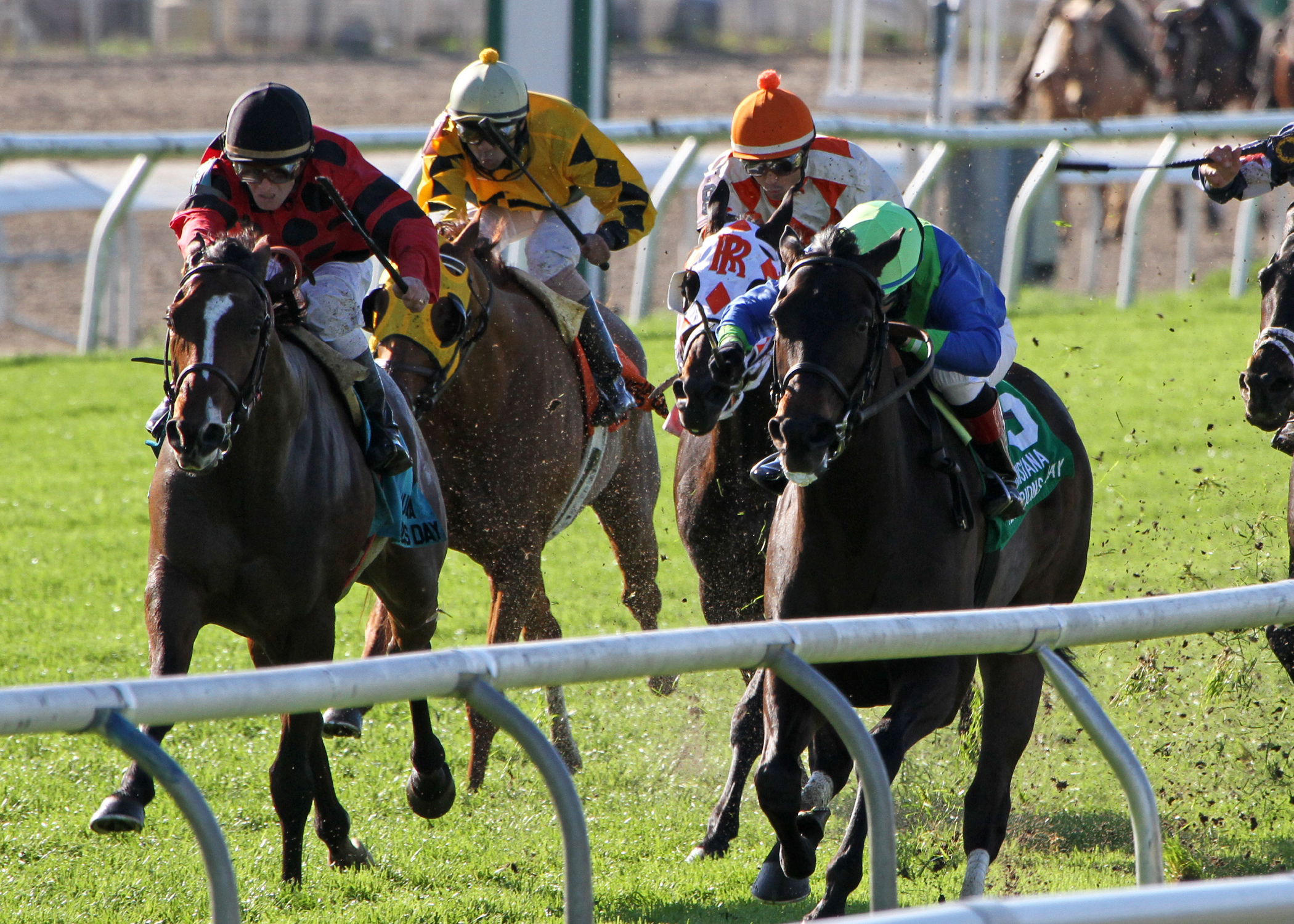 Lovely Vin, String King, Louisiana Champions Day Turf