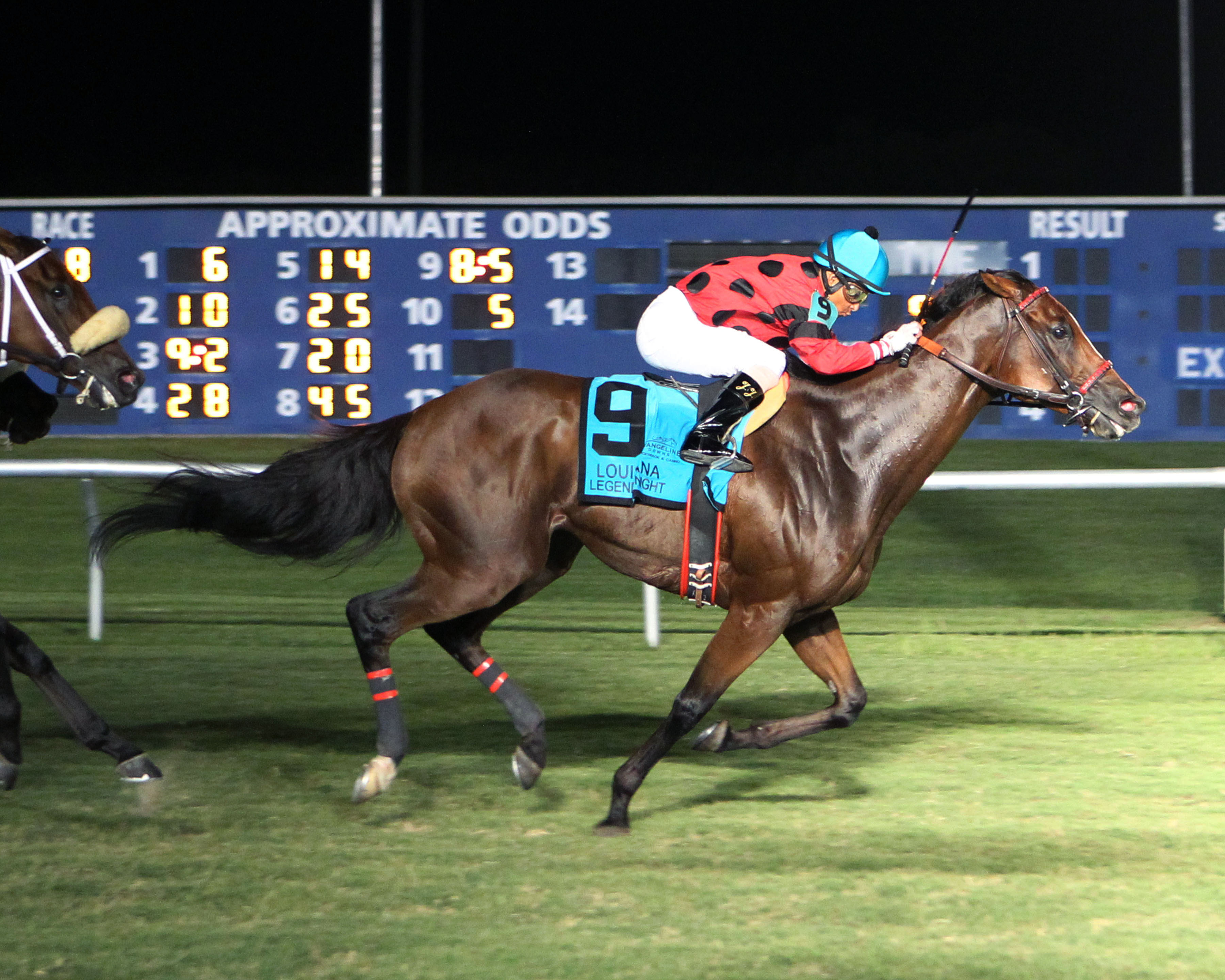 String King wins the 2016 Louisiana Legends Turf Stakes