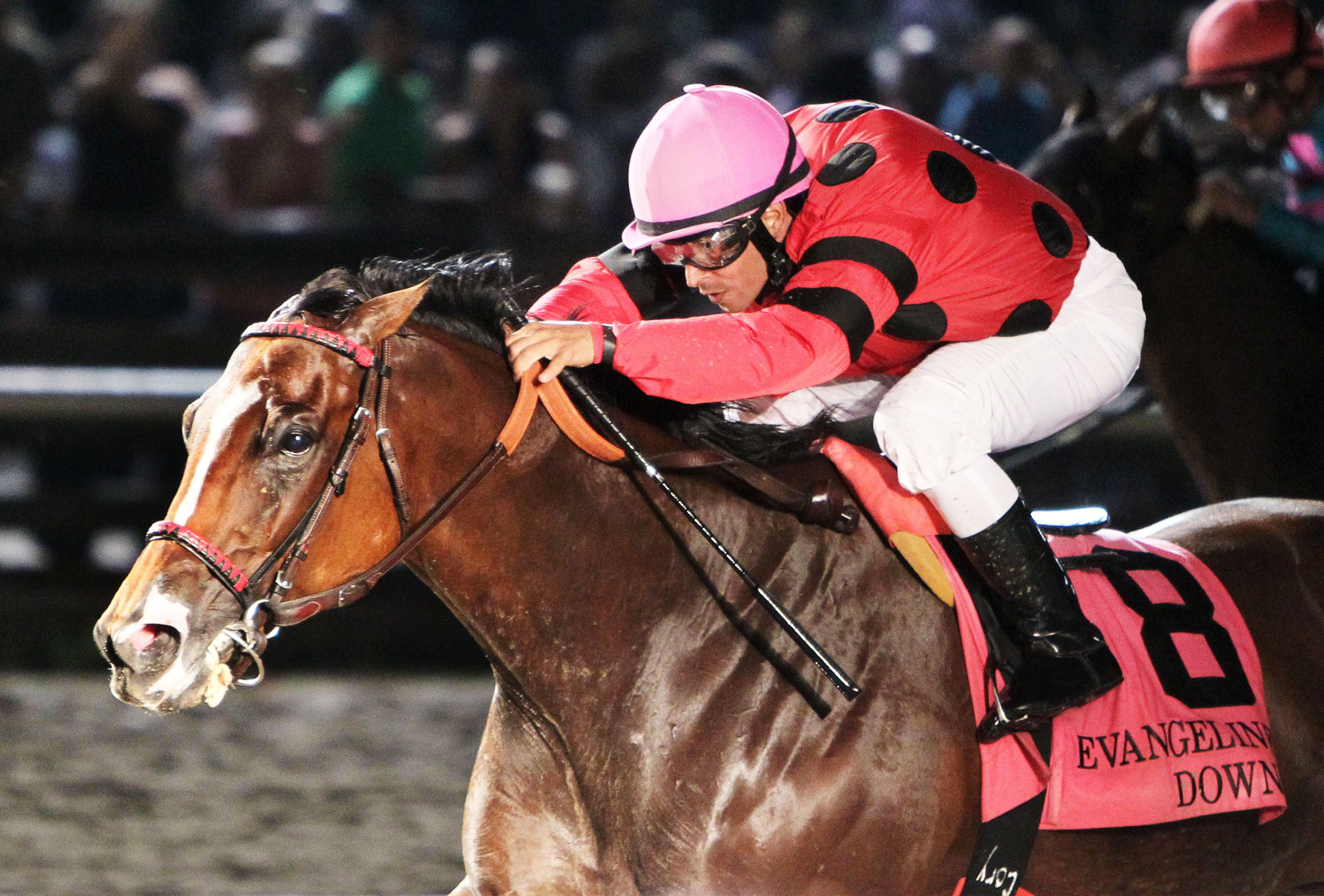 String King wins the Louisiana Legends Turf Stakes