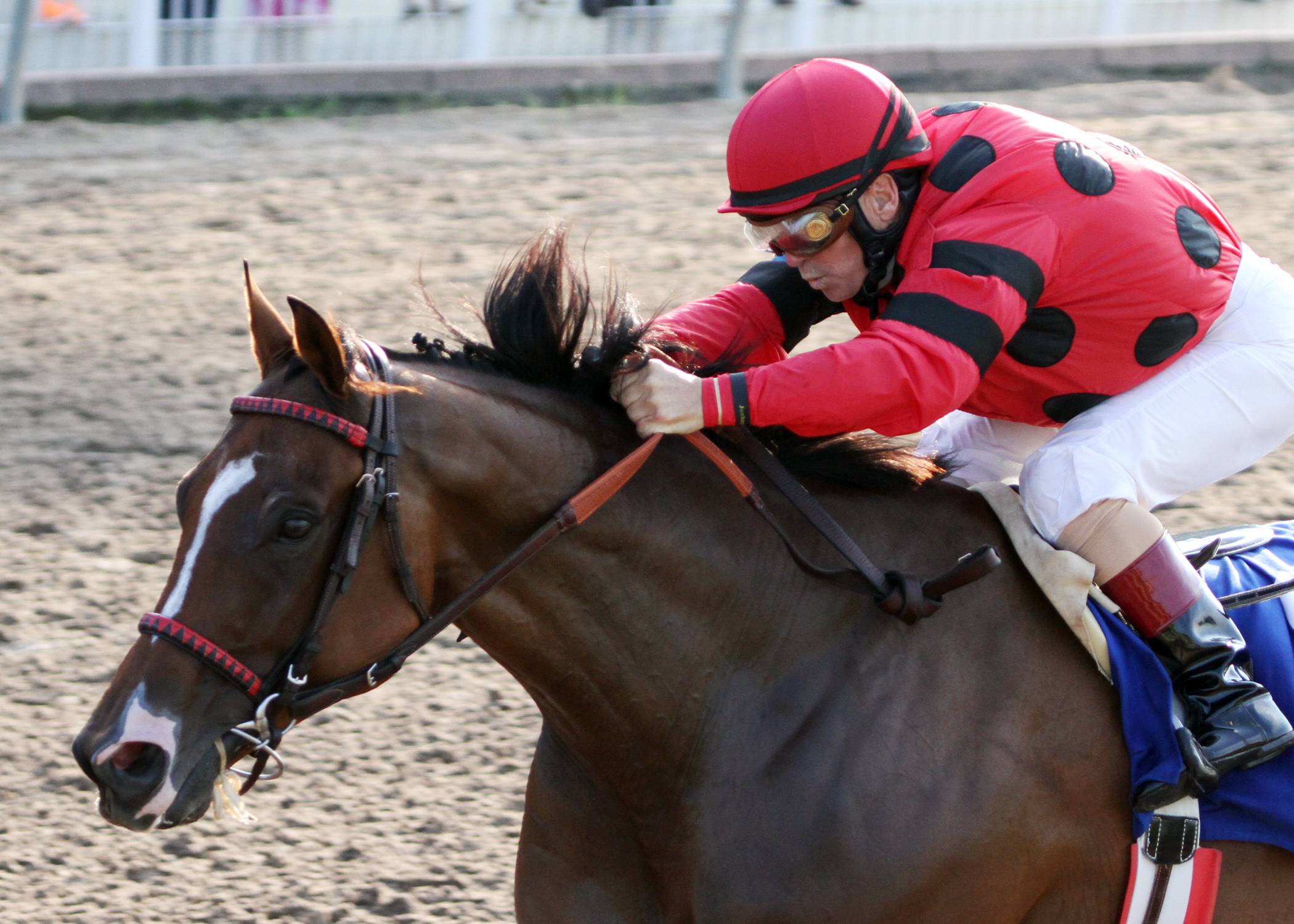 String King wins the Louisiana Cup Turf Classic