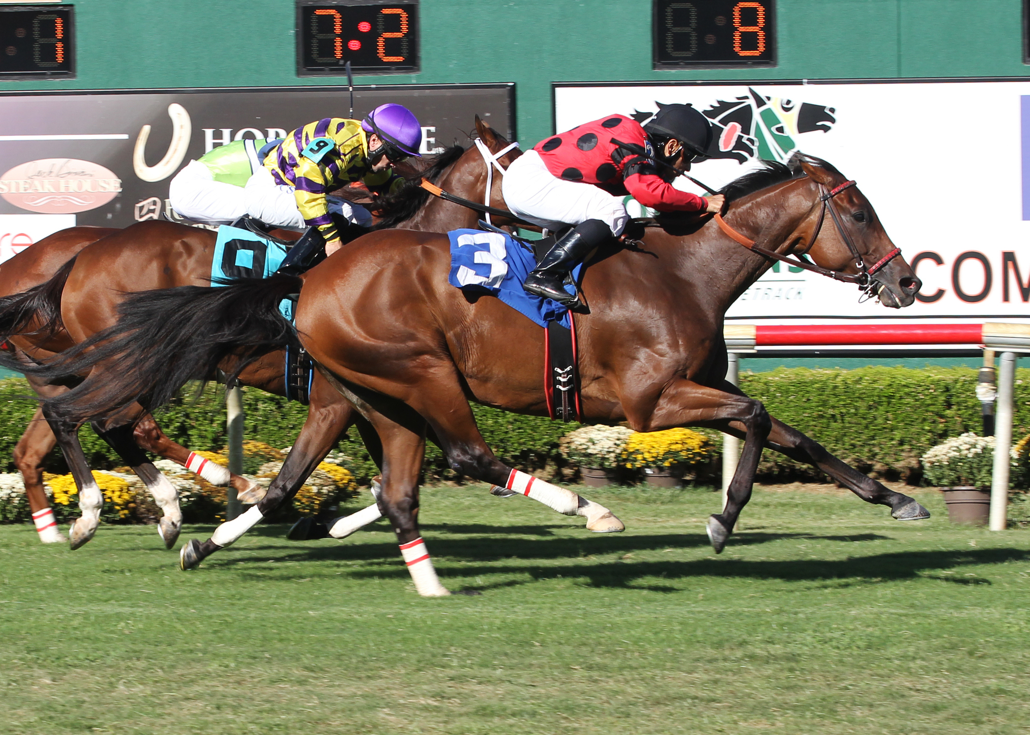 String King wins the 2015 Unbridled Stakes
