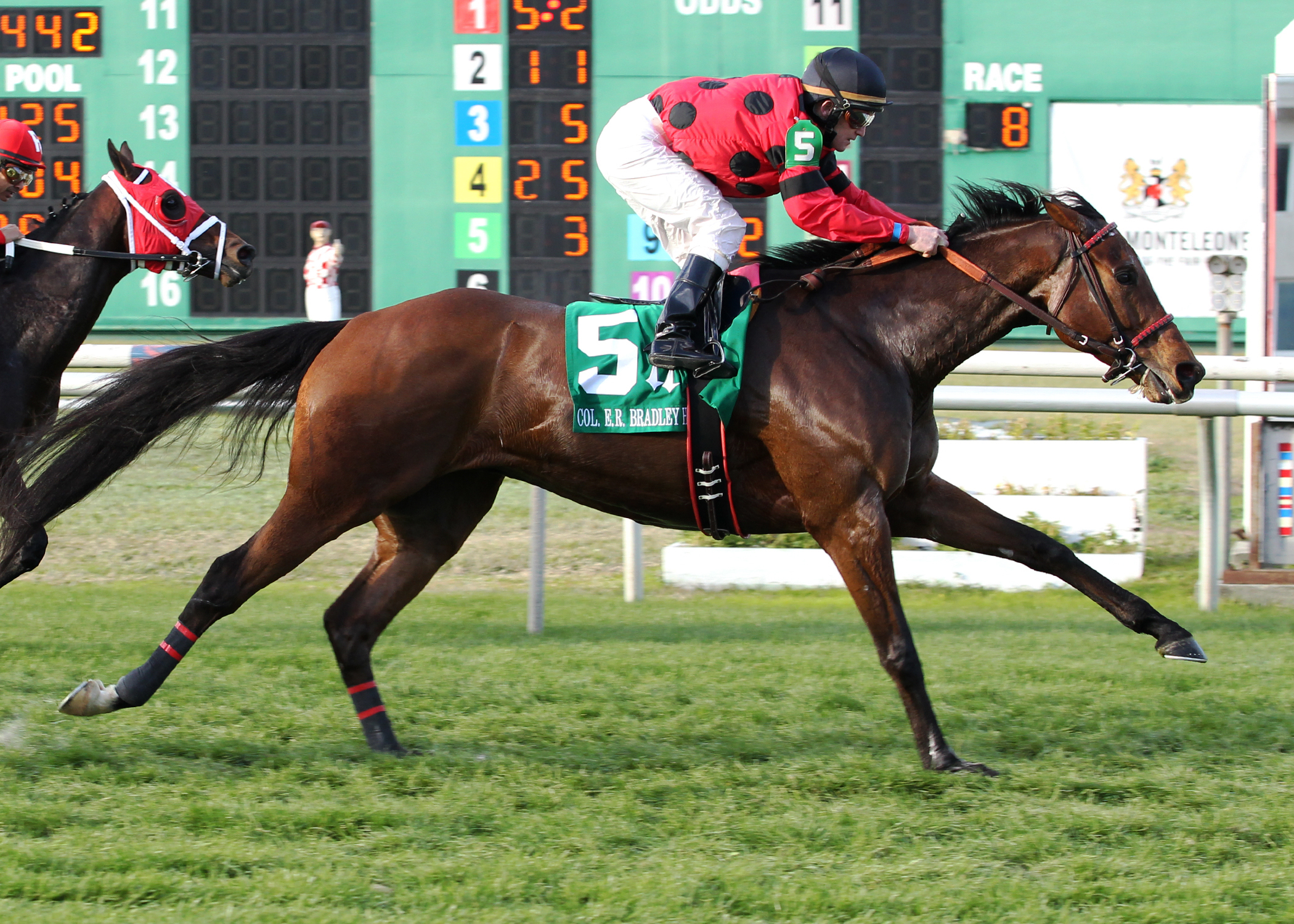 String King wins the Col. E. R. Bradley Handicap