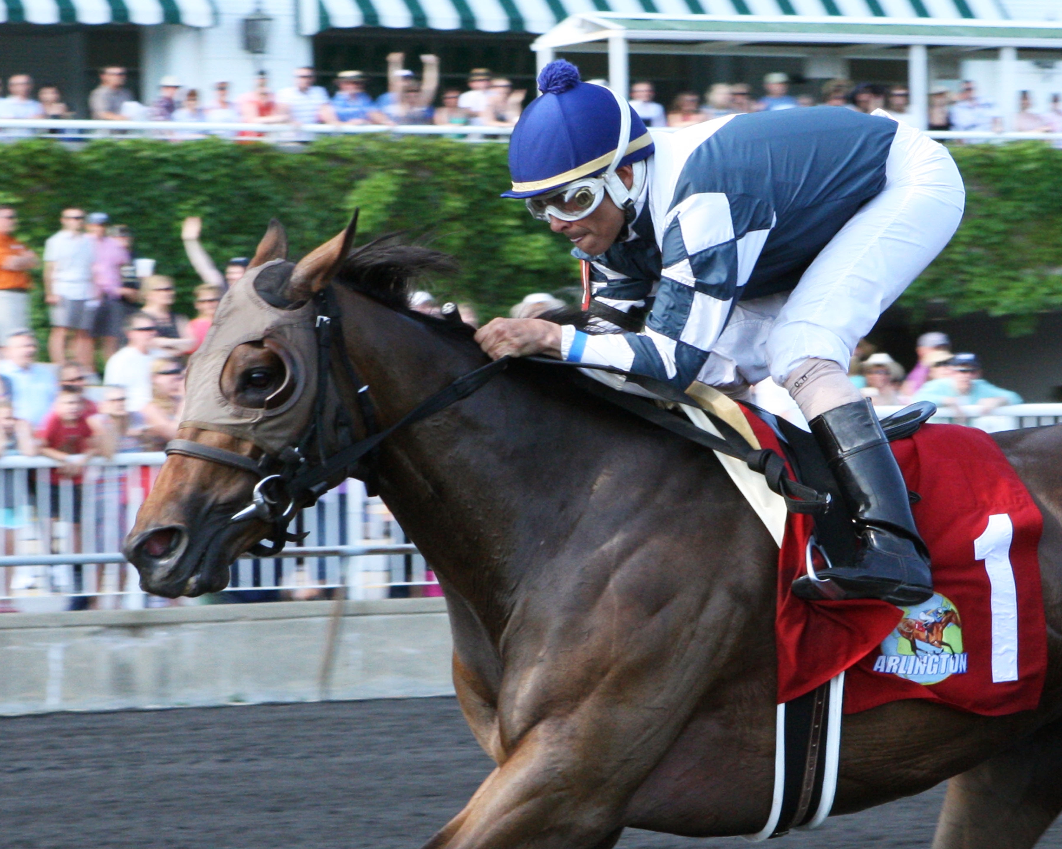 Strollin the Bayou wins the 2018 Purple Violet Stakes