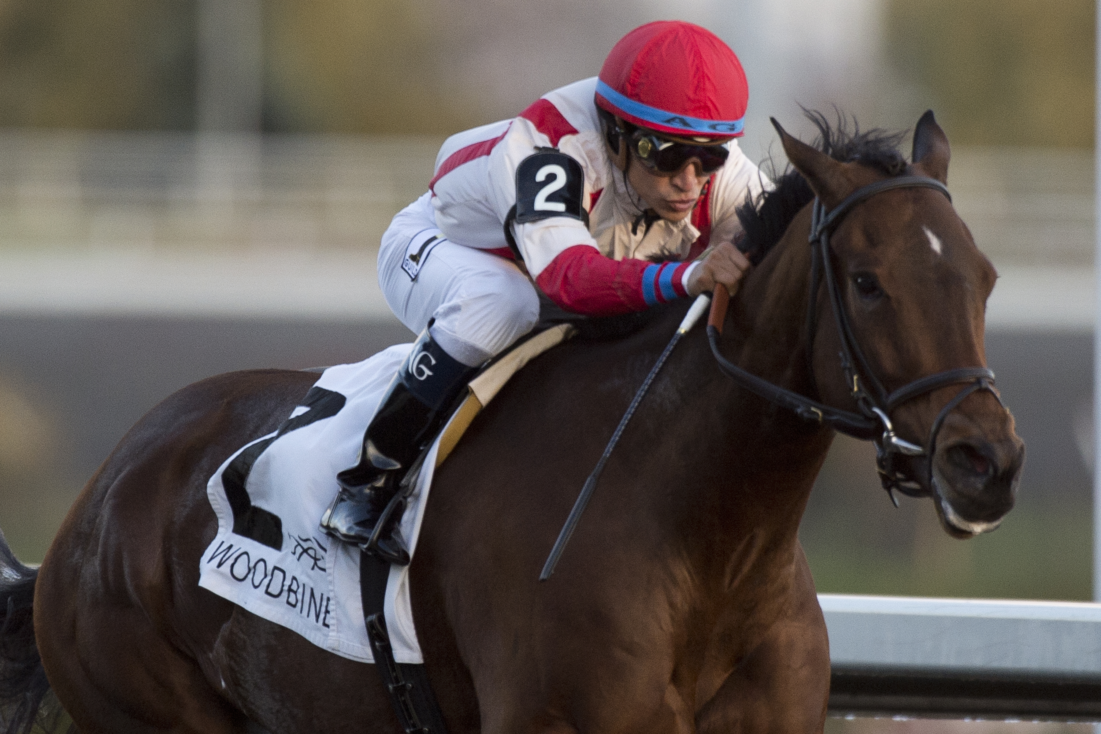 Strong Incentive wins 2015 Jammed Lovely
