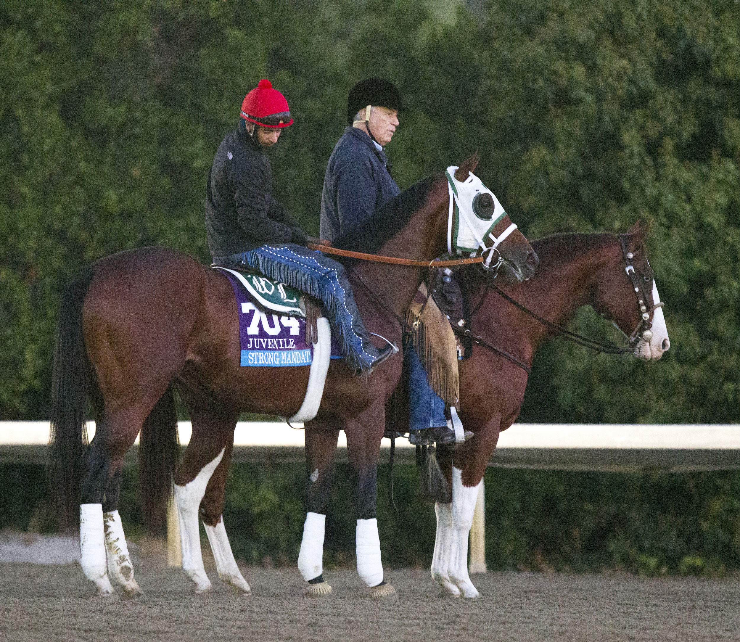 Strong Mandate with D. Wayne Lukas