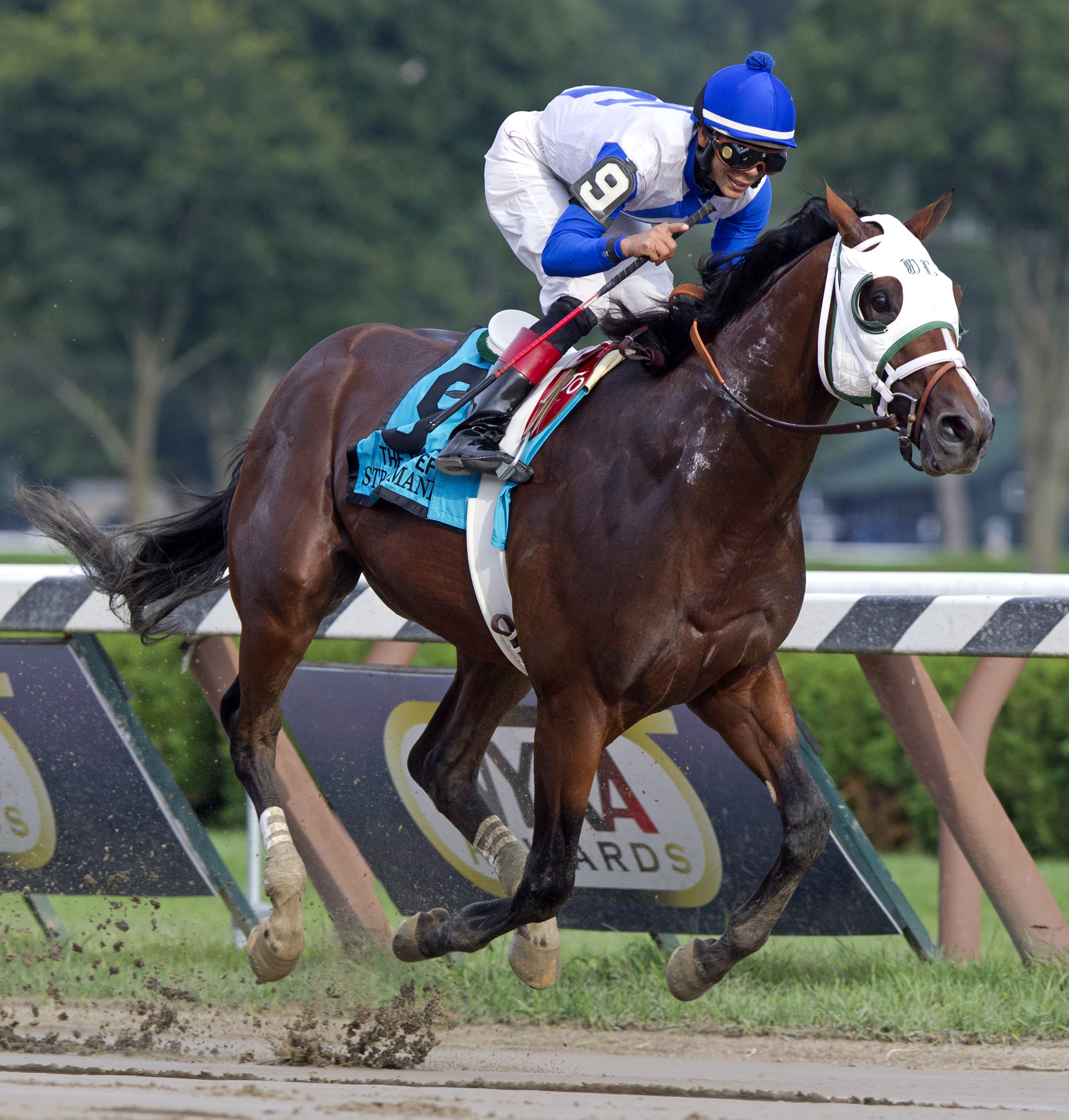 Strong Mandate, Hopeful Stakes
