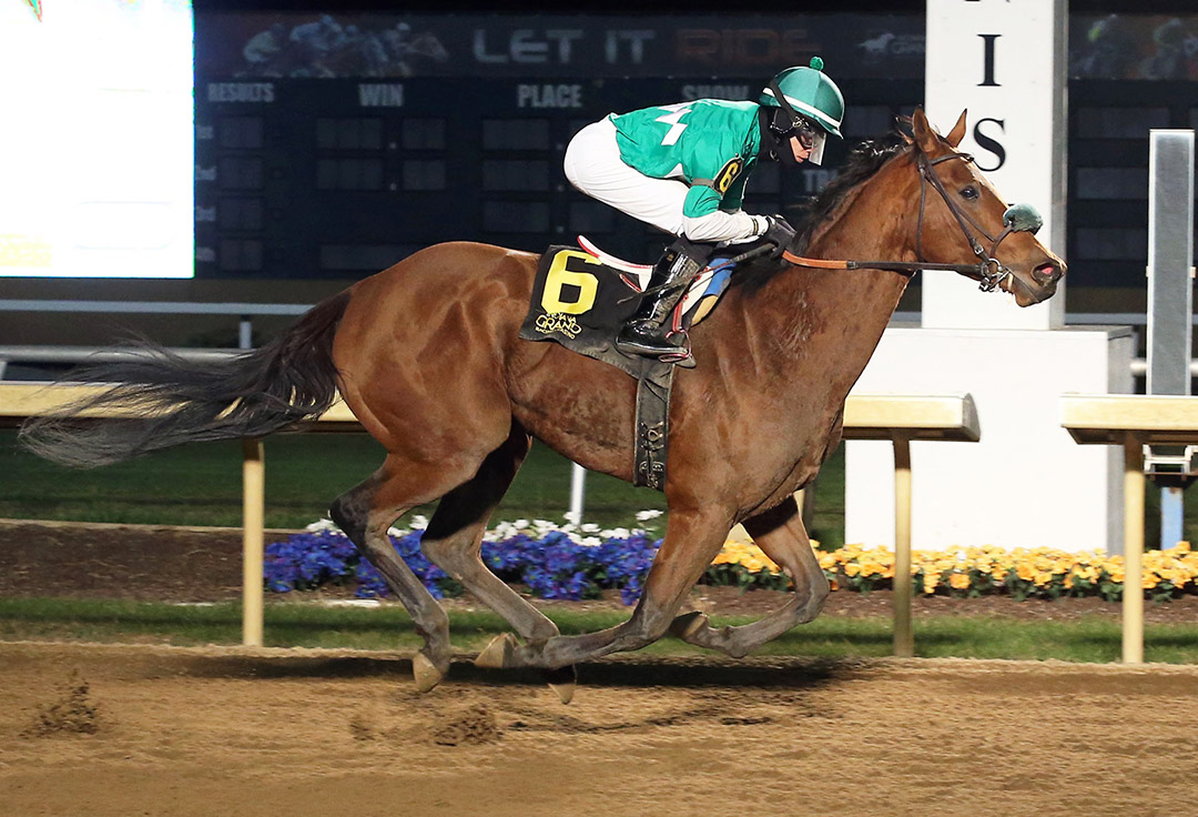 Strong Tide wins the 2020 To Much Coffee Stakes at Indiana Grand