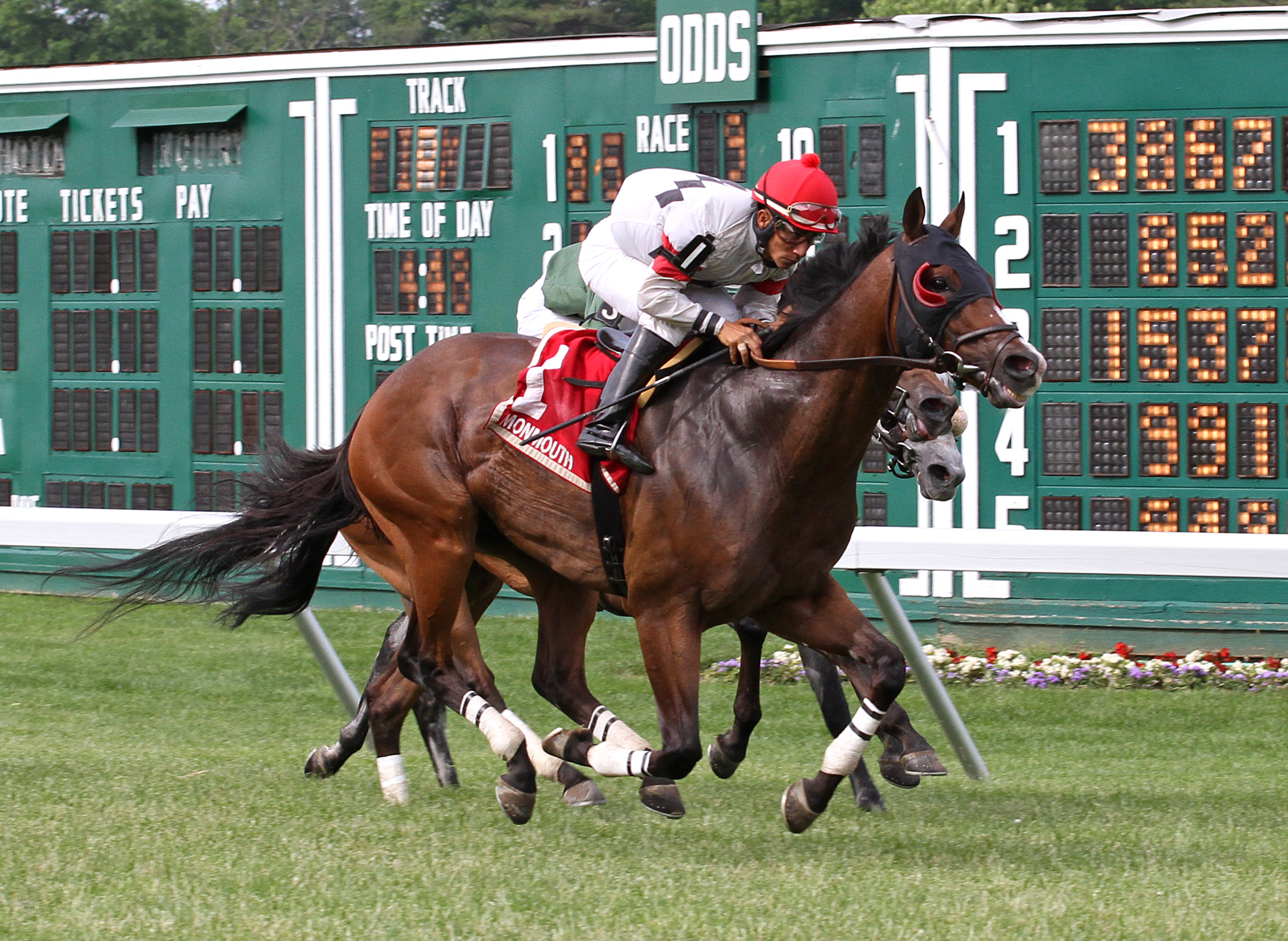 Strong Impact wins 2014 McSorely