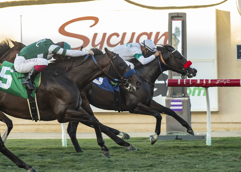 Strongconstitution wins Let It Ride 11-01-2020