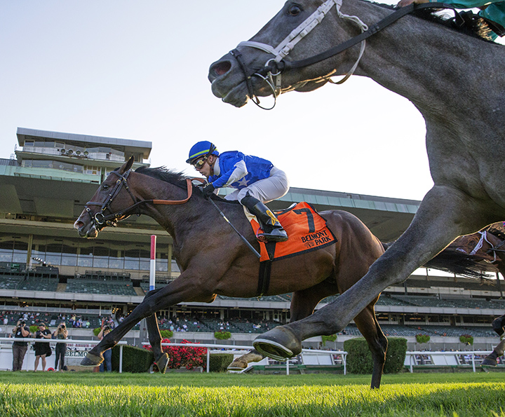 Structor wins the 2019 Pilgrim Stakes at Belmont Park