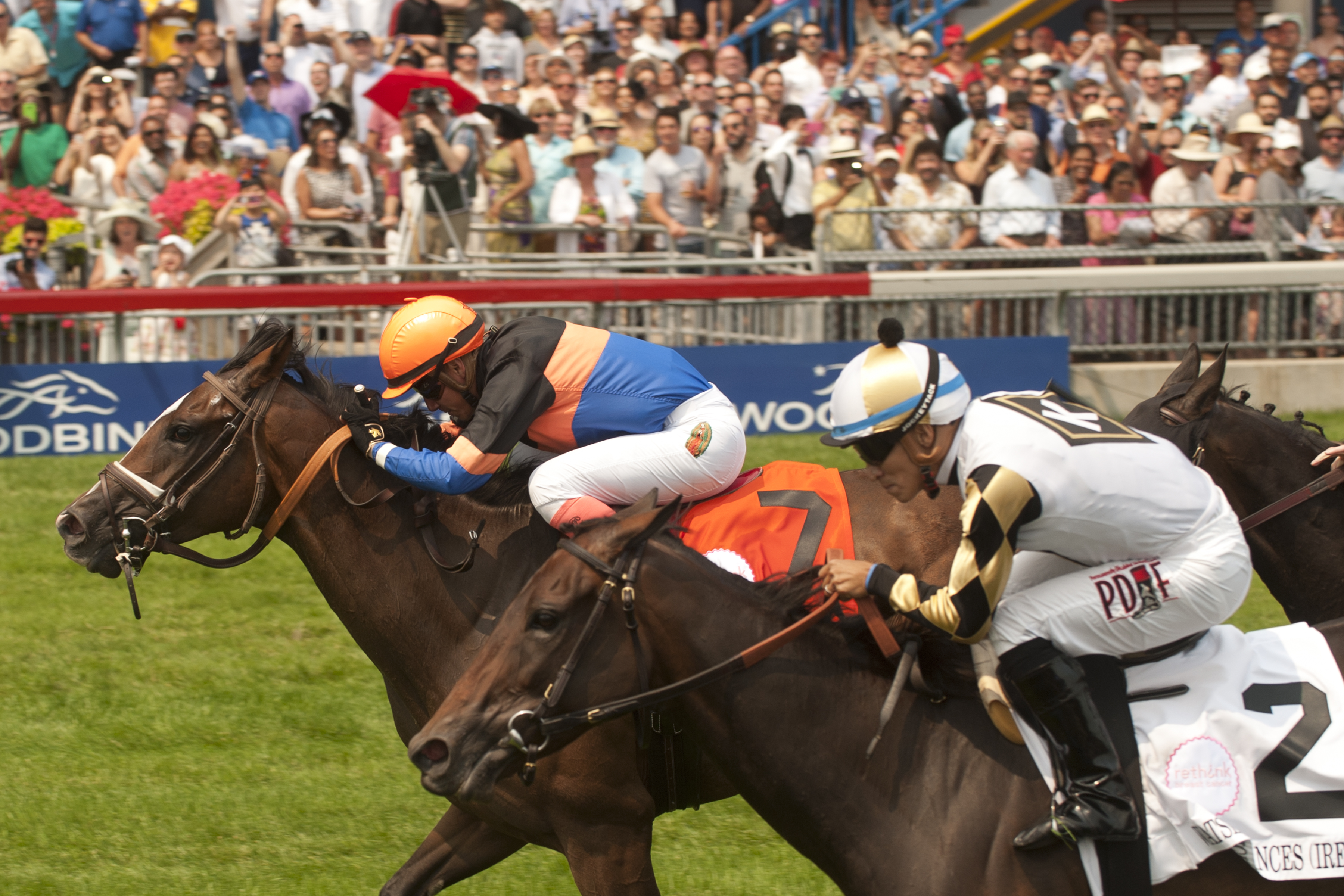 Strut the Course wins 2015 Dance Smartly