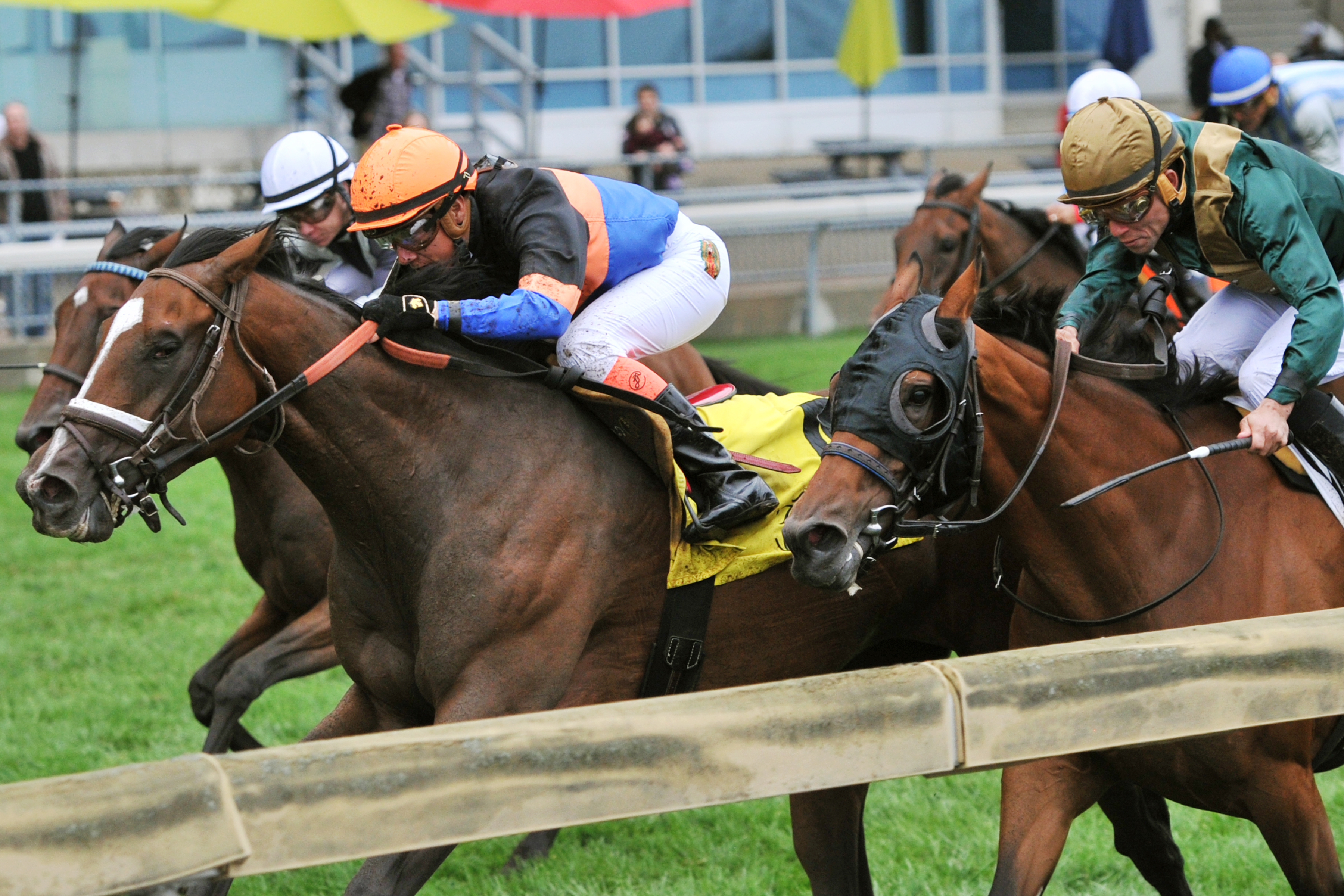 Strut the Course wins the 2015 Canadian Stakes