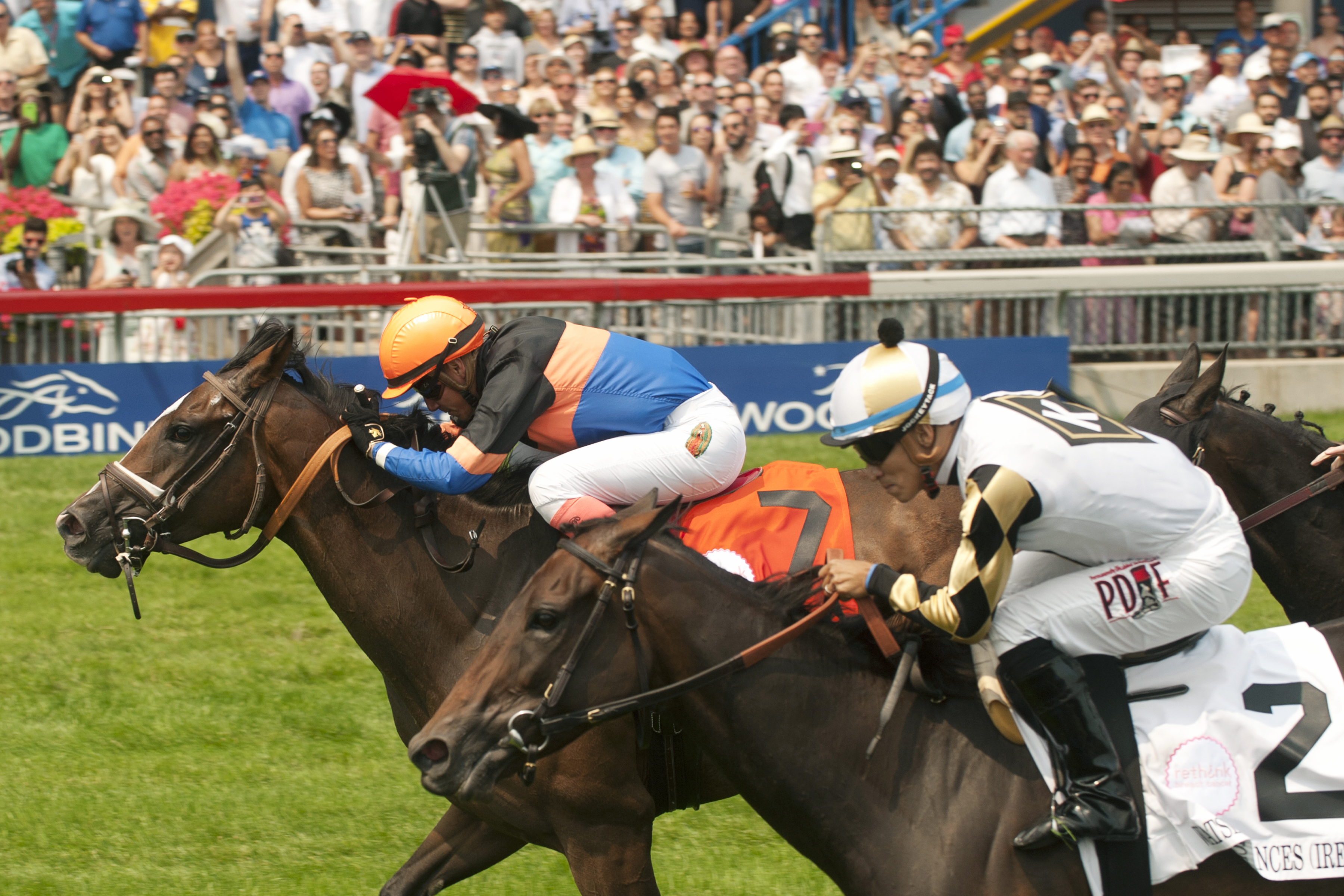 Strut the Course wins the Dance Smartly Stakes