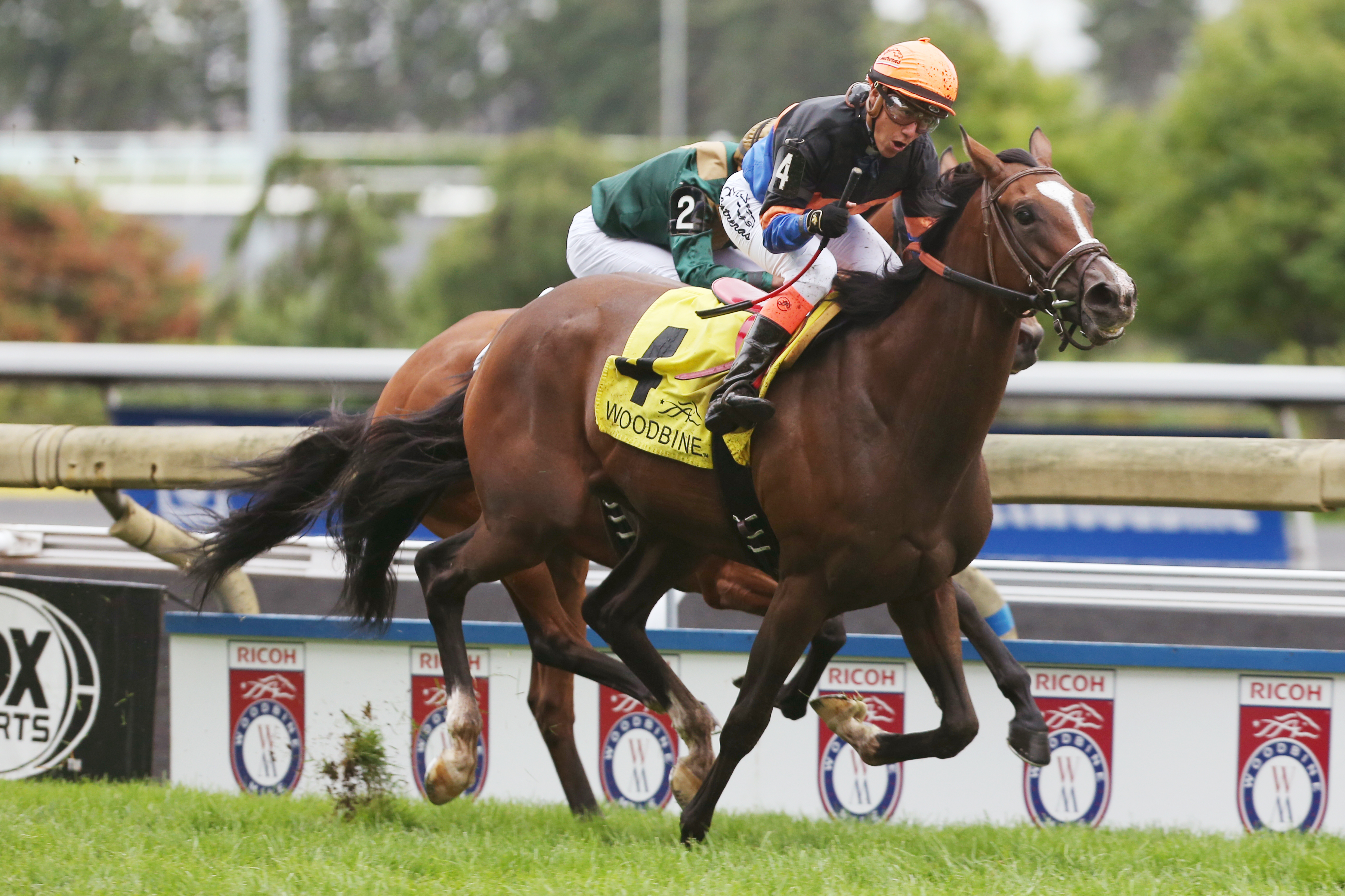 Strut the Course wins the Canadian Stakes