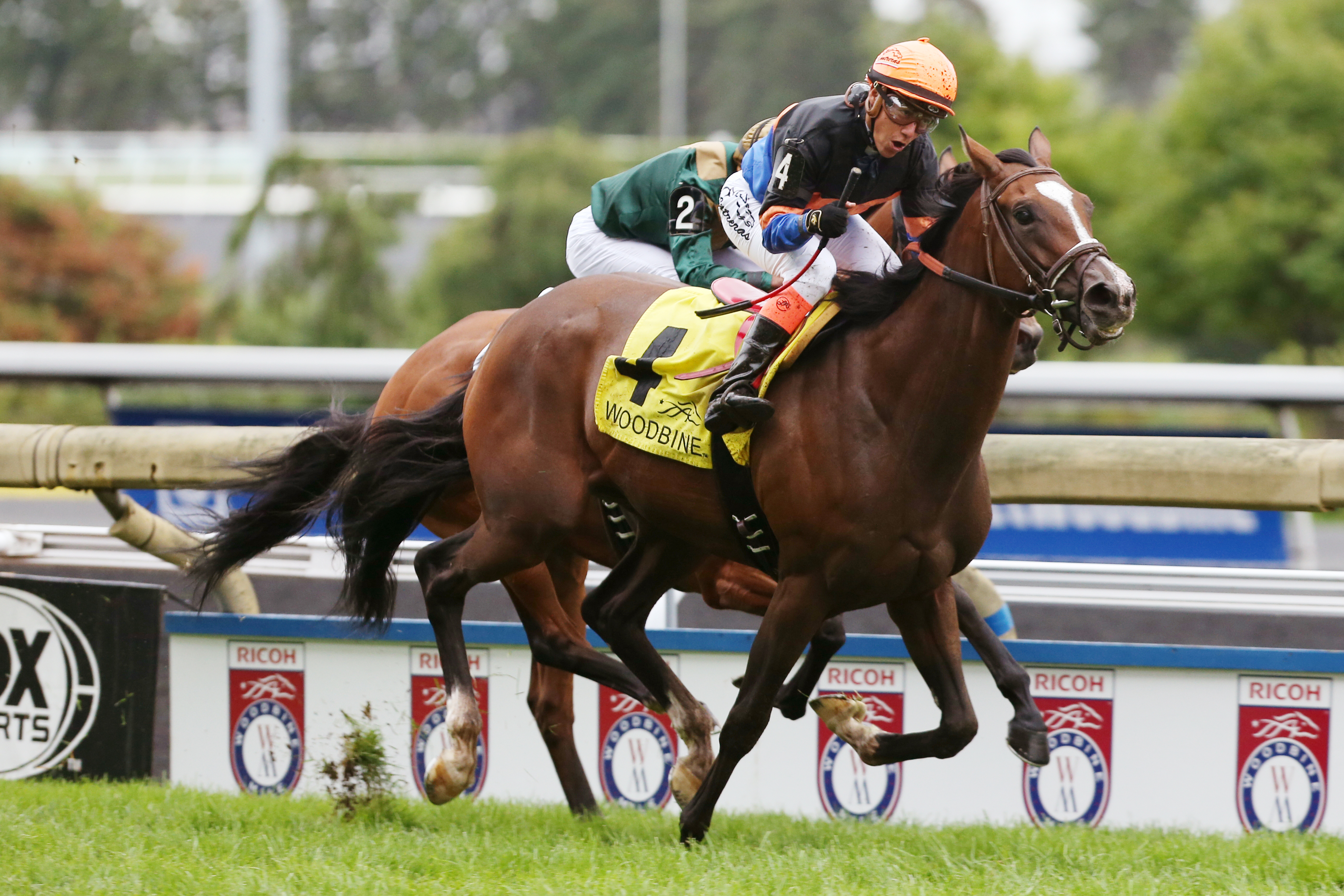 Strut the Course wins the Canadian Stakes