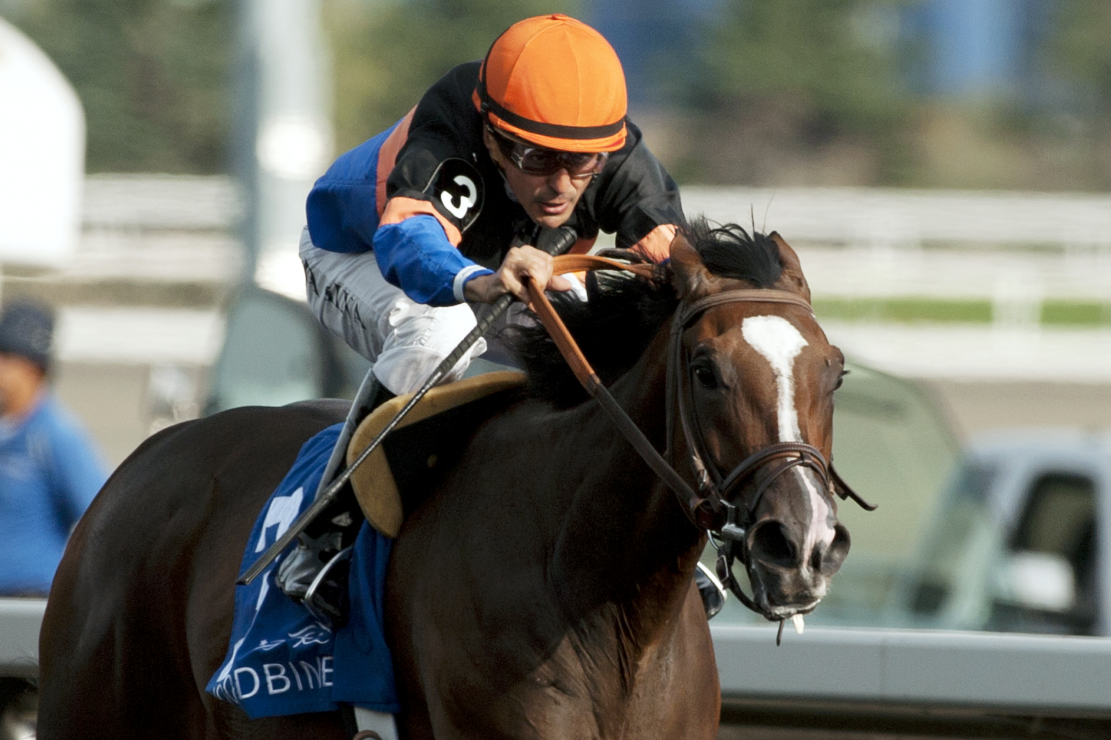 Strut the Course wins the Classy 'N Smart Stakes