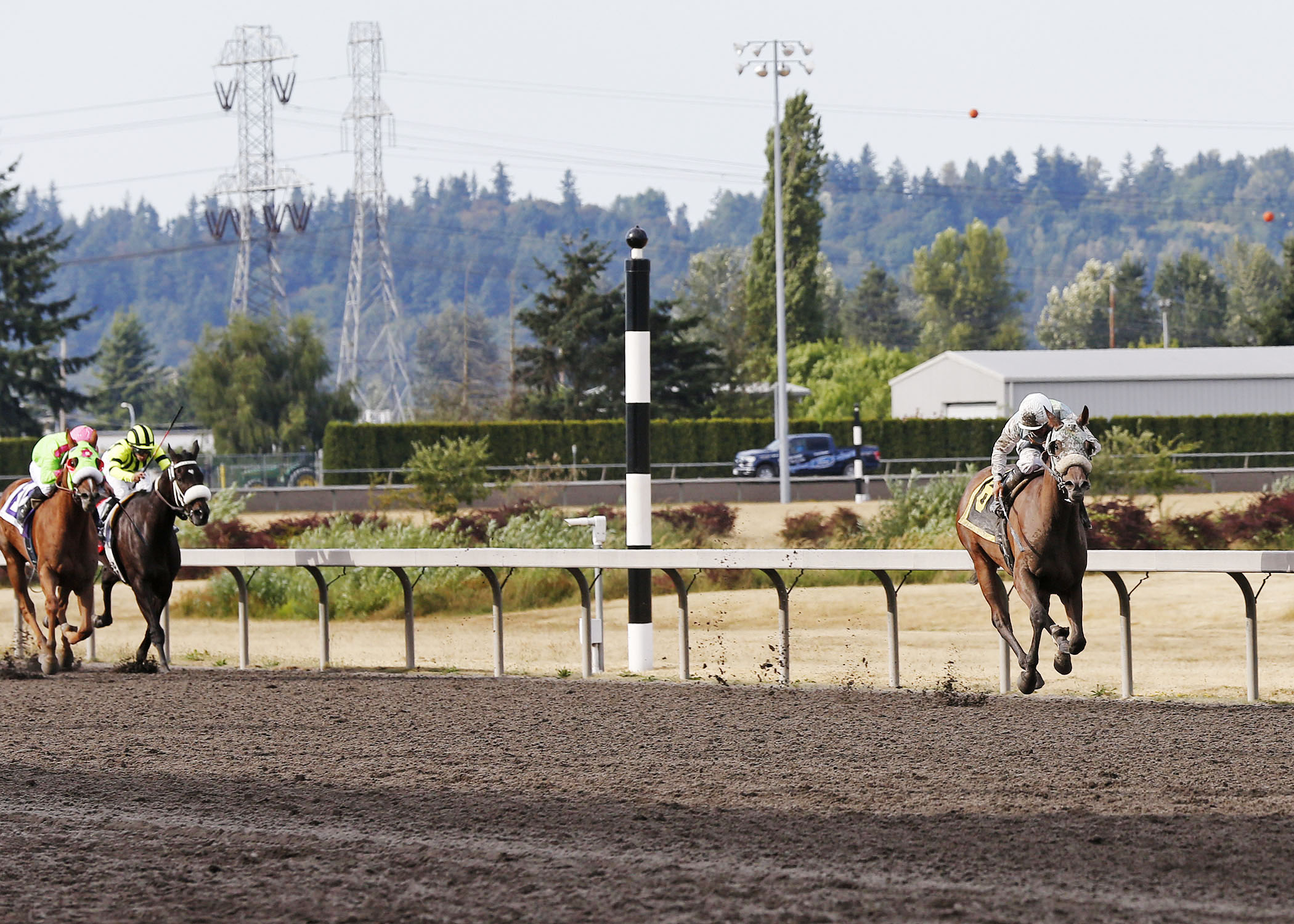 Stryker Phd wins the Mt. Rainier Handicap