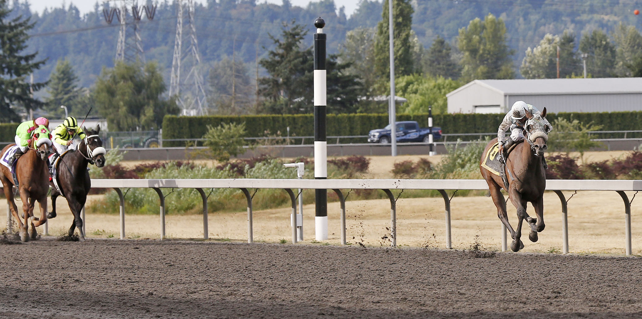 Stryker Phd wins the 2015 Mount Rainier