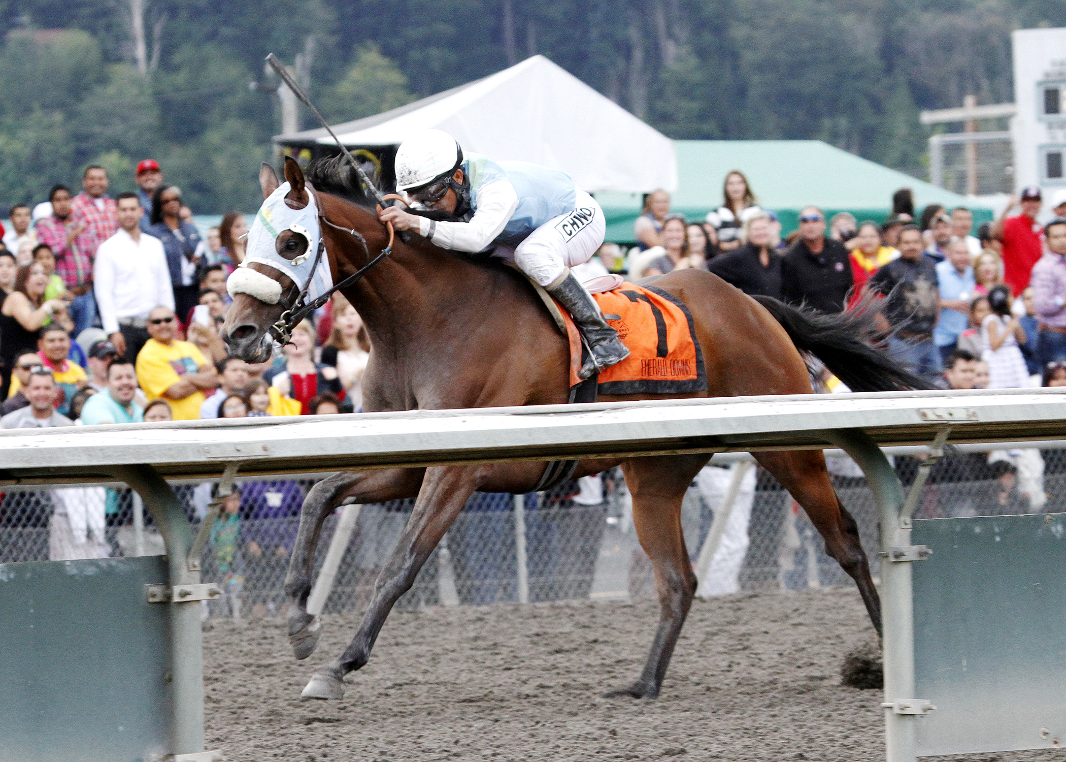 Stryker Phd wins the Mt. Rainer Handicap