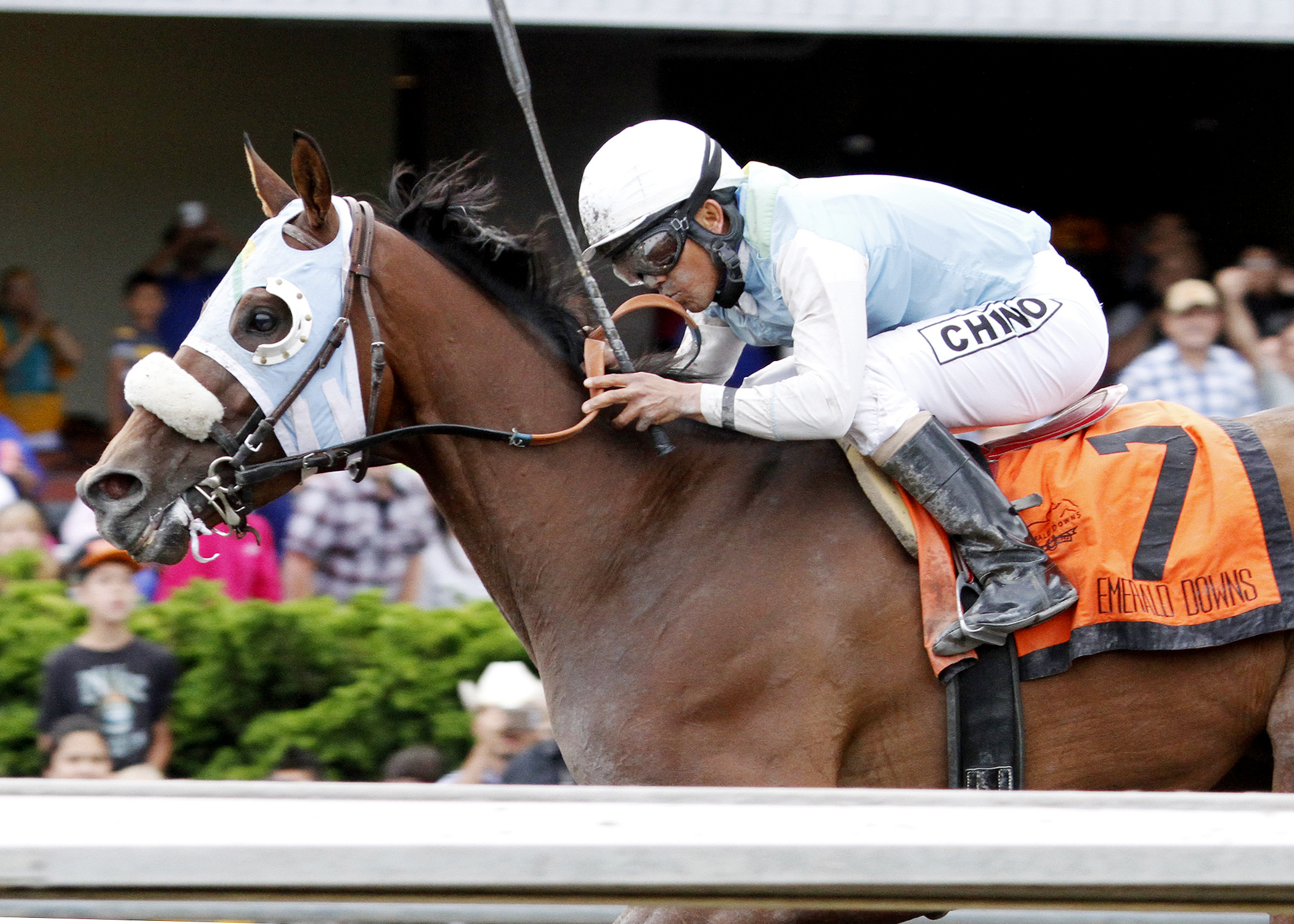 Stryker Phd wins the Mt. Rainer Handicap
