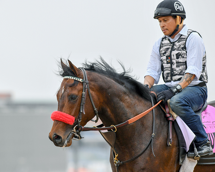 Stubbins at Meydan Racecourse in March 2019