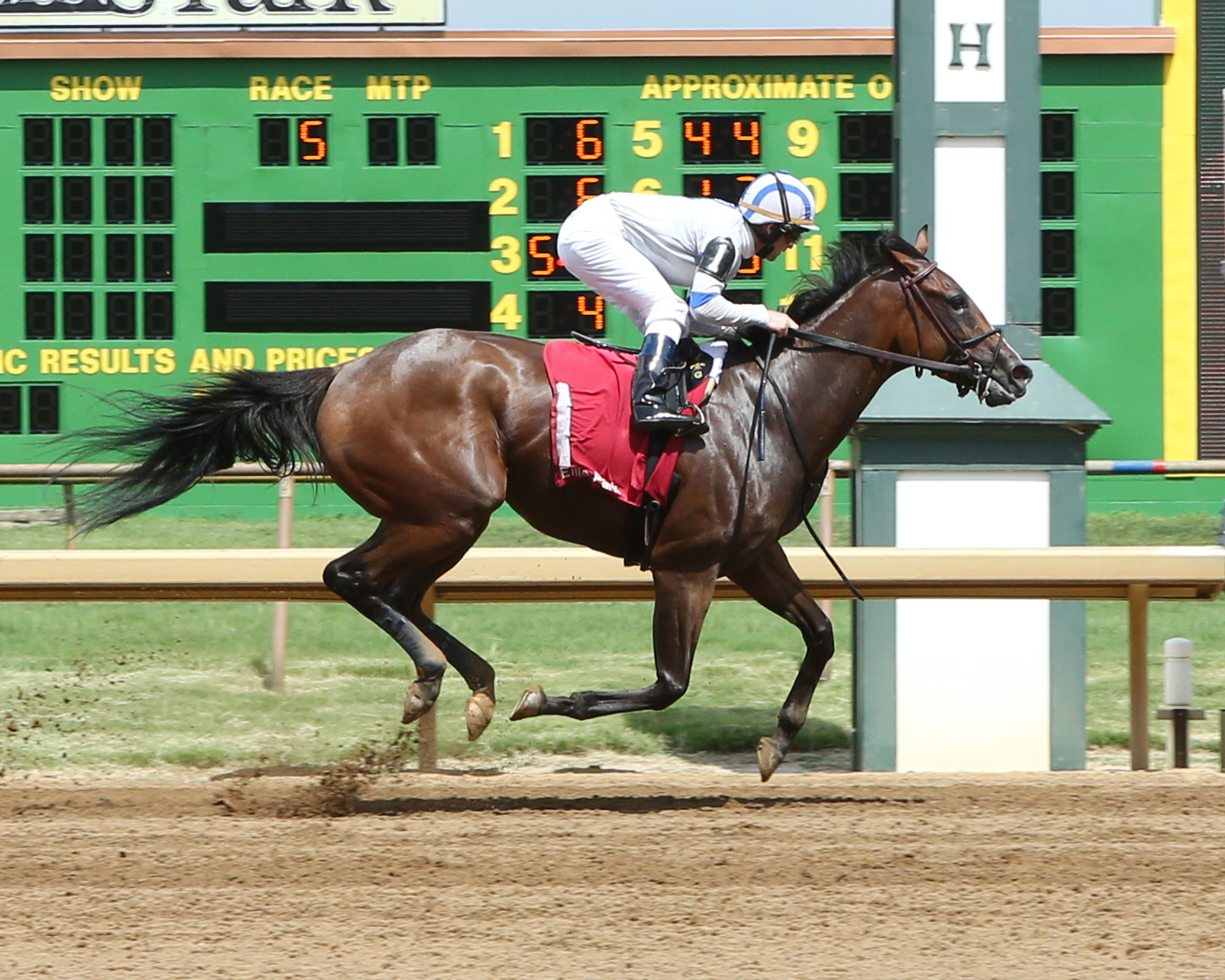 Student Body wins a July 14, 2017 allowance race