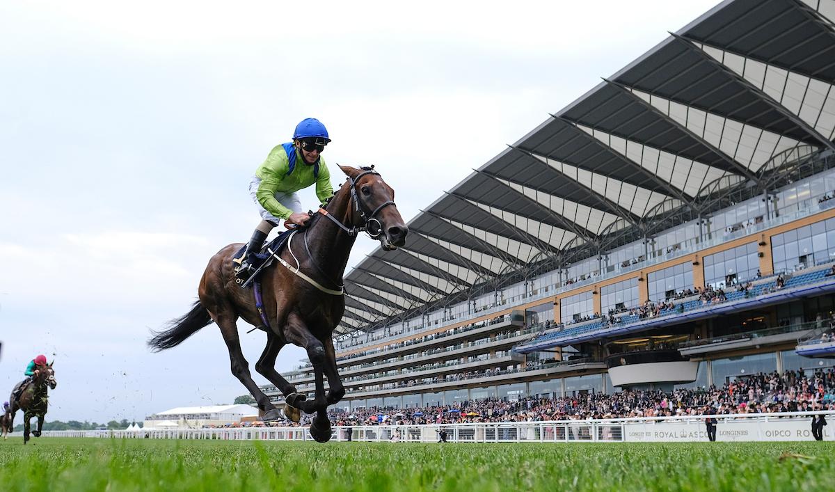 Subjectivist wins the Gold Cup - credit Megan Ridgwell