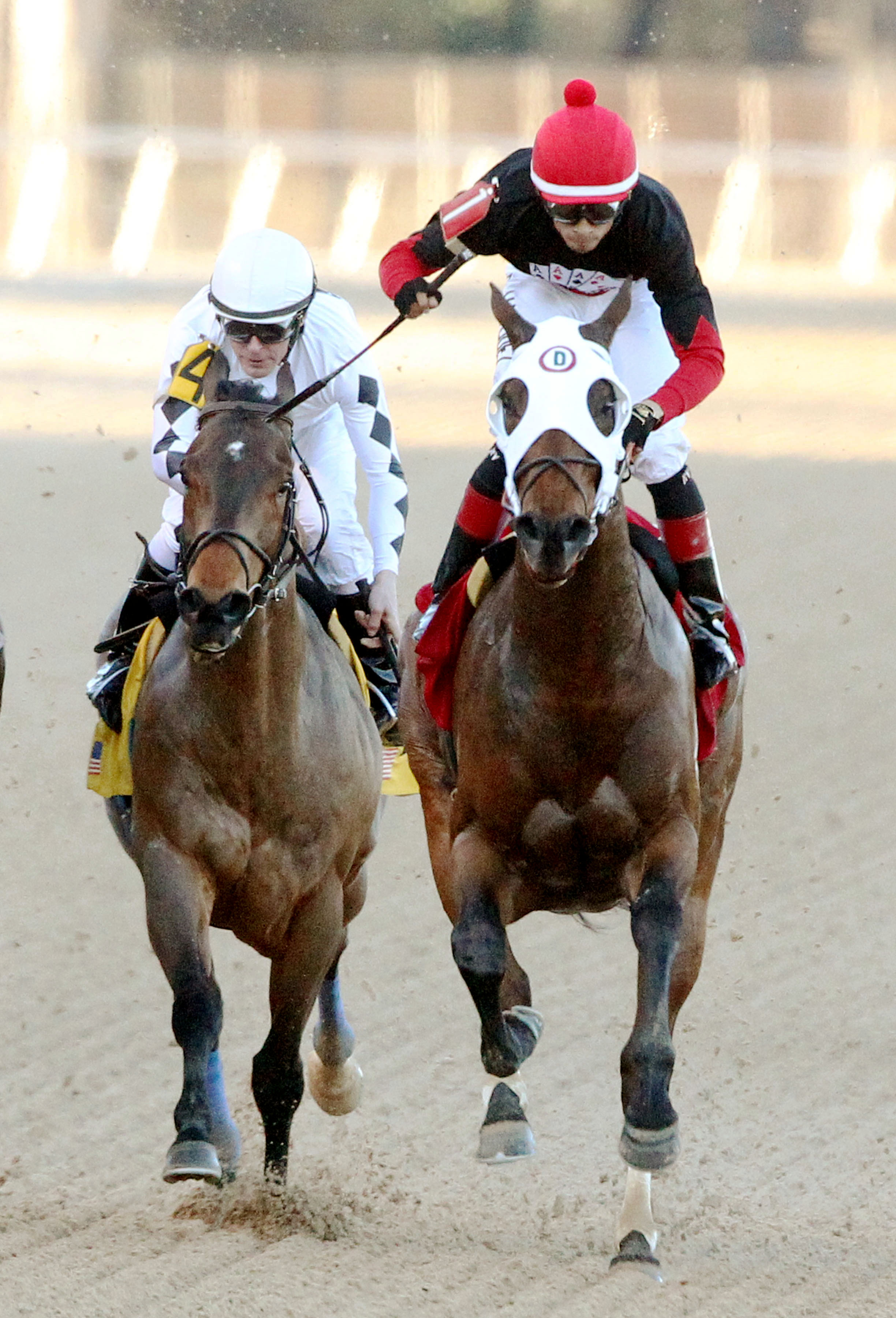 Subtle Indian wins the Hot Springs