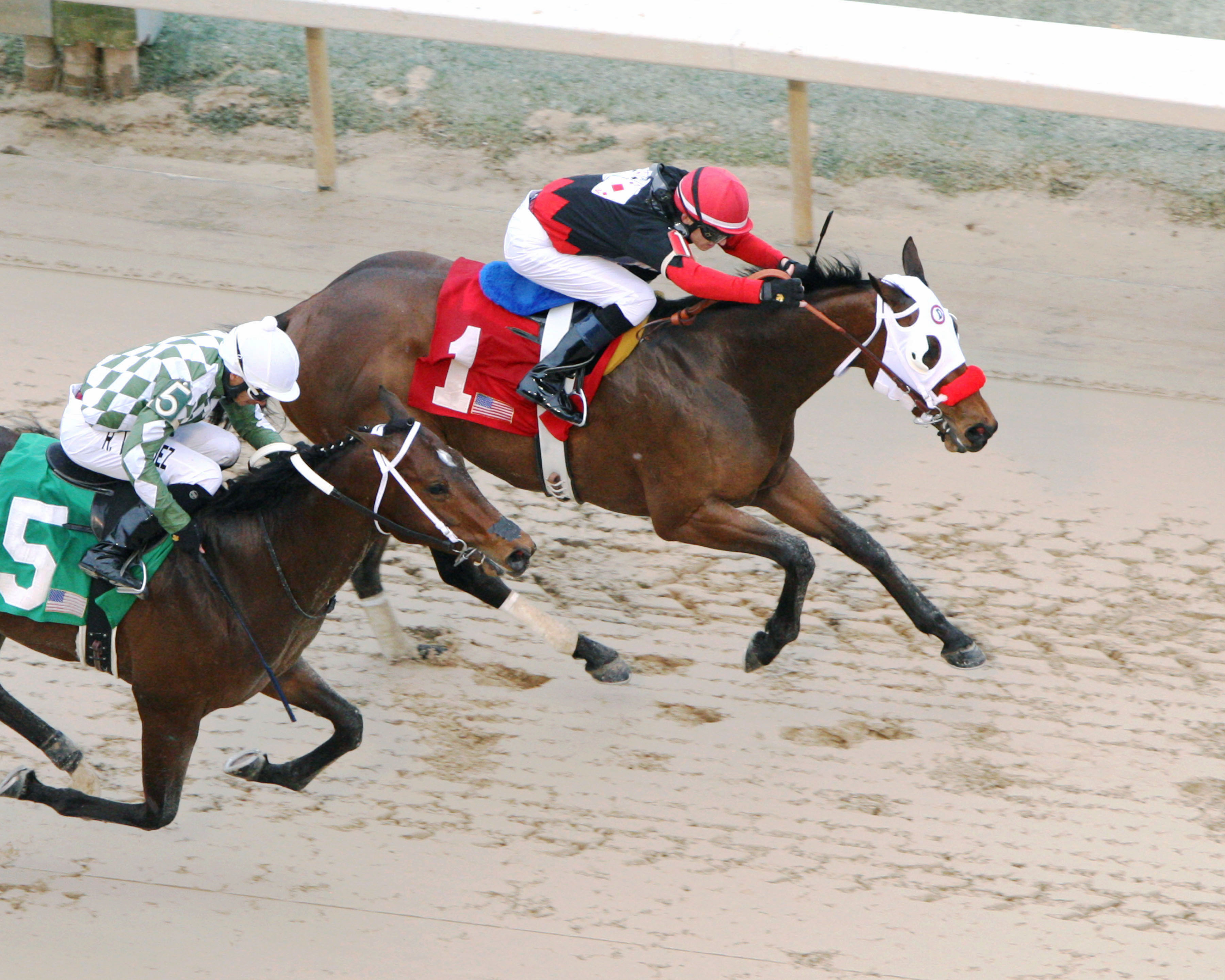 Bayerd finishes second to Subtle Indian in the Gazebo