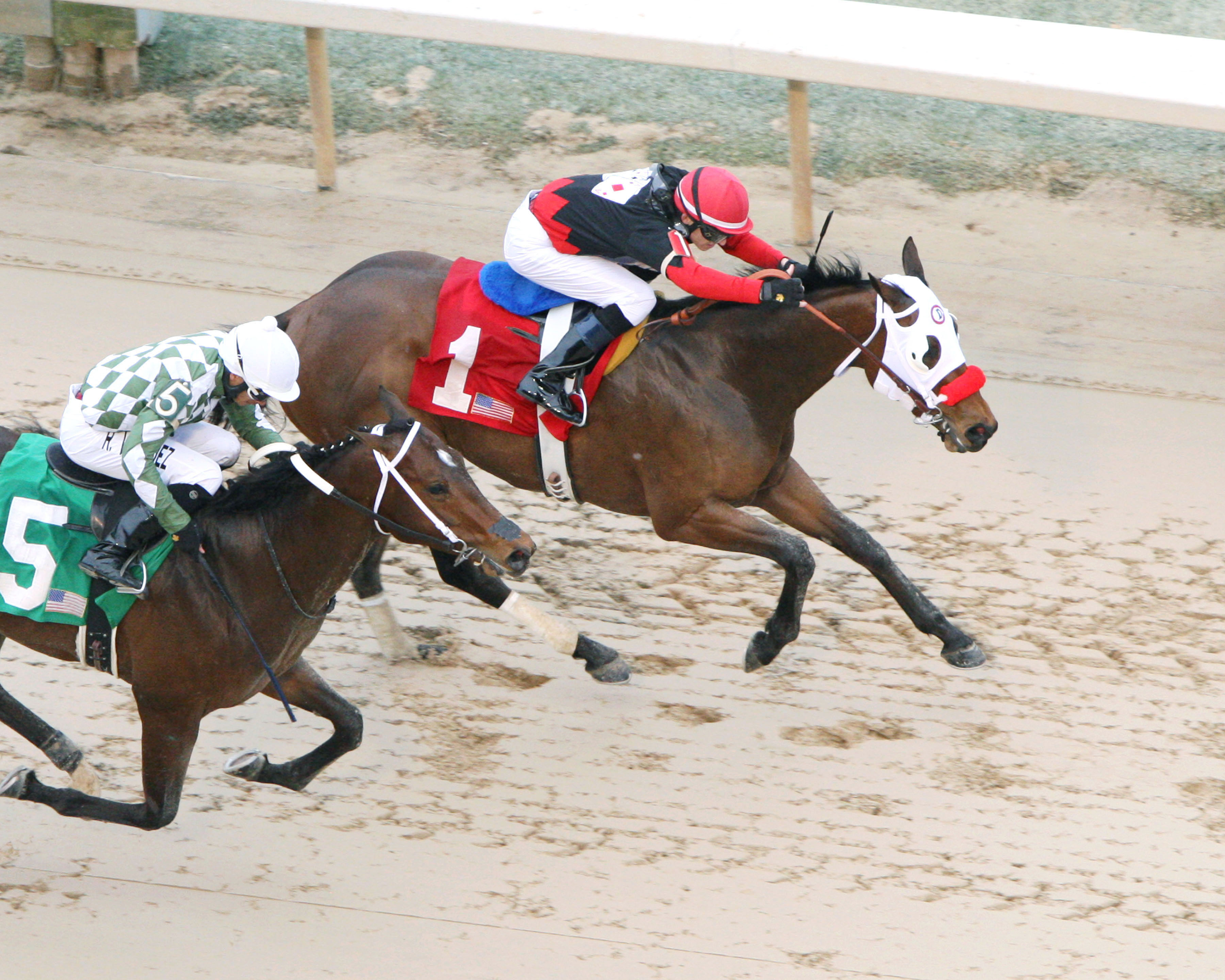 Subtle Indian wins the 2015 Rampart