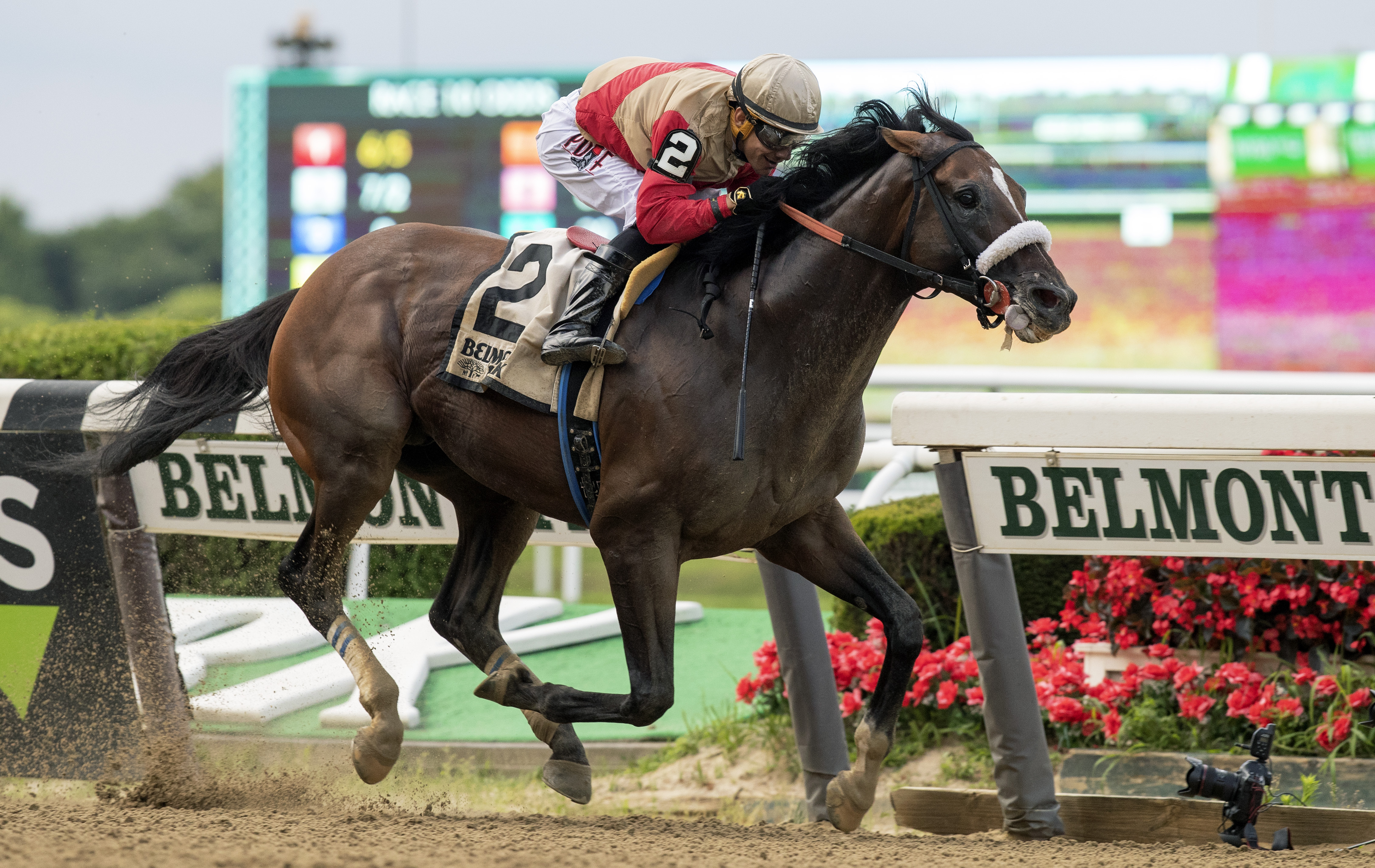 Preservationist wins the 2019 Suburban Stakes