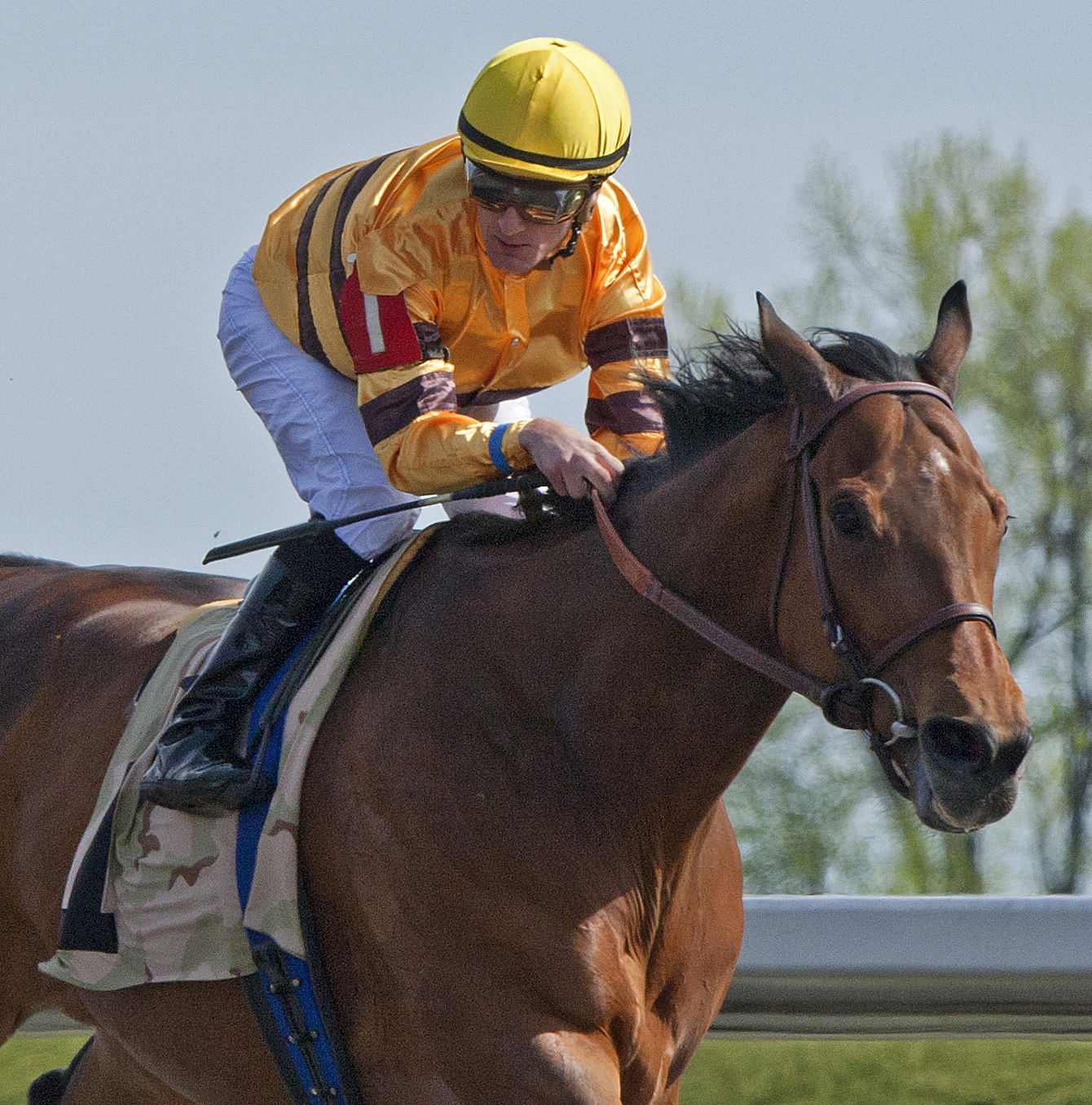Successful Dan, Ben Ali Stakes