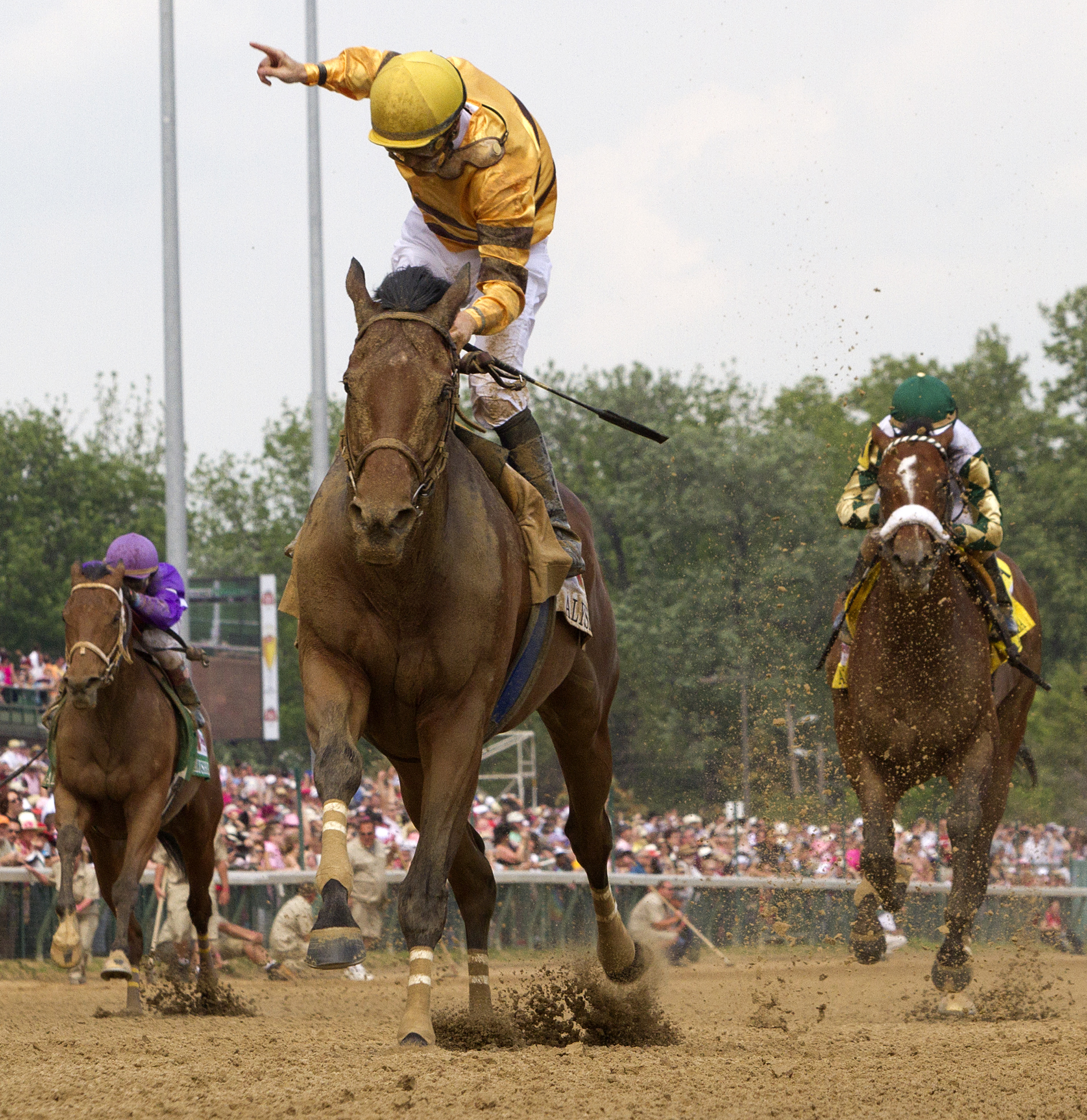 Successful Dan/Alysheba