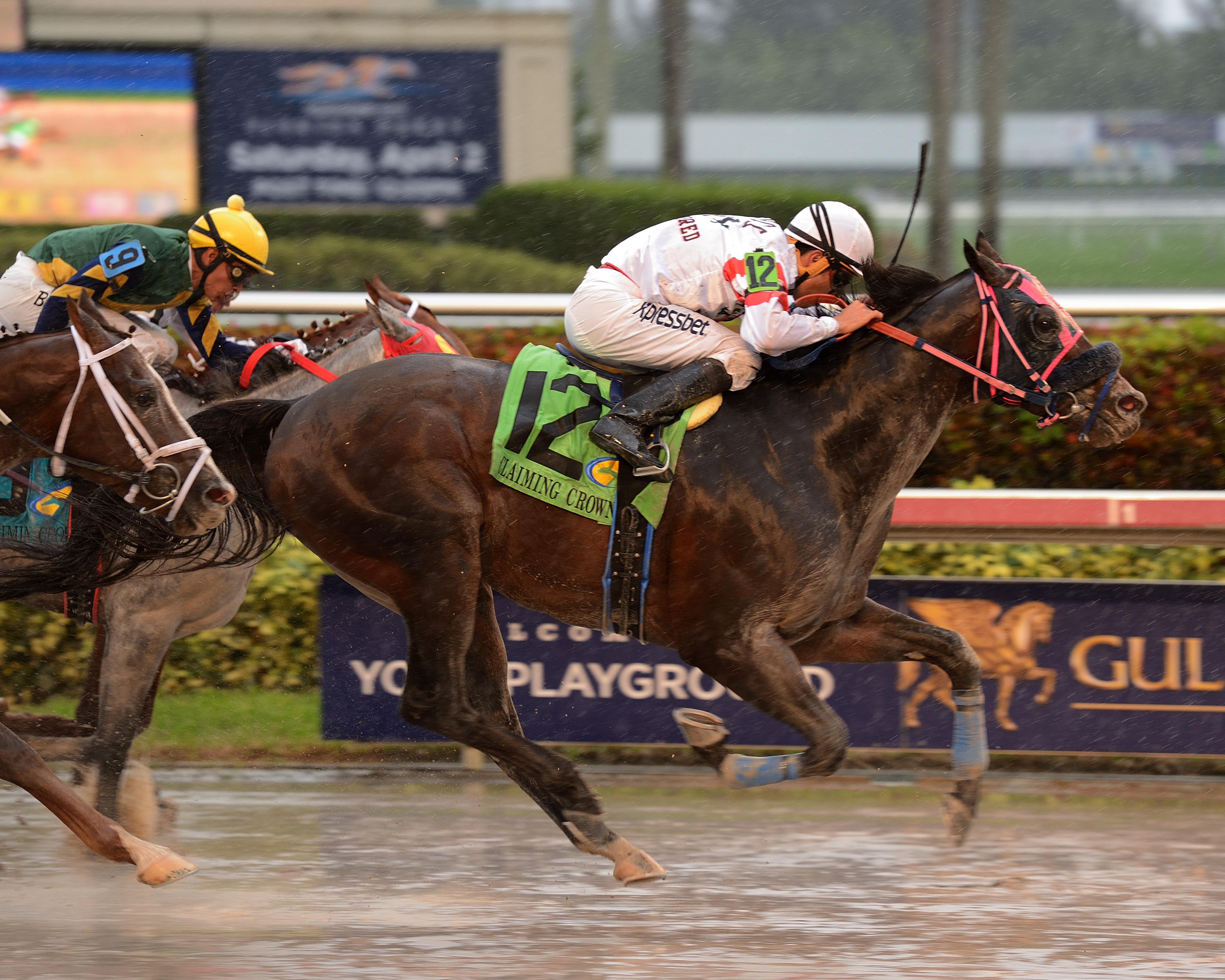 Successful Native wins 2015 Claiming Crown Canterbury