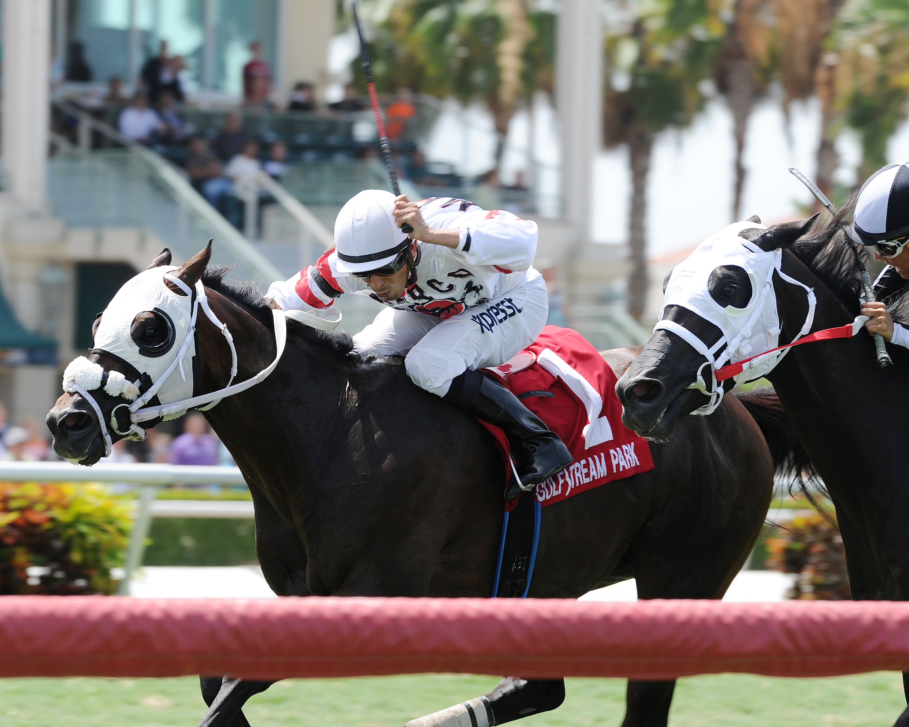Successful Native wins the Bob Umphrey Turf Sprint Stakes