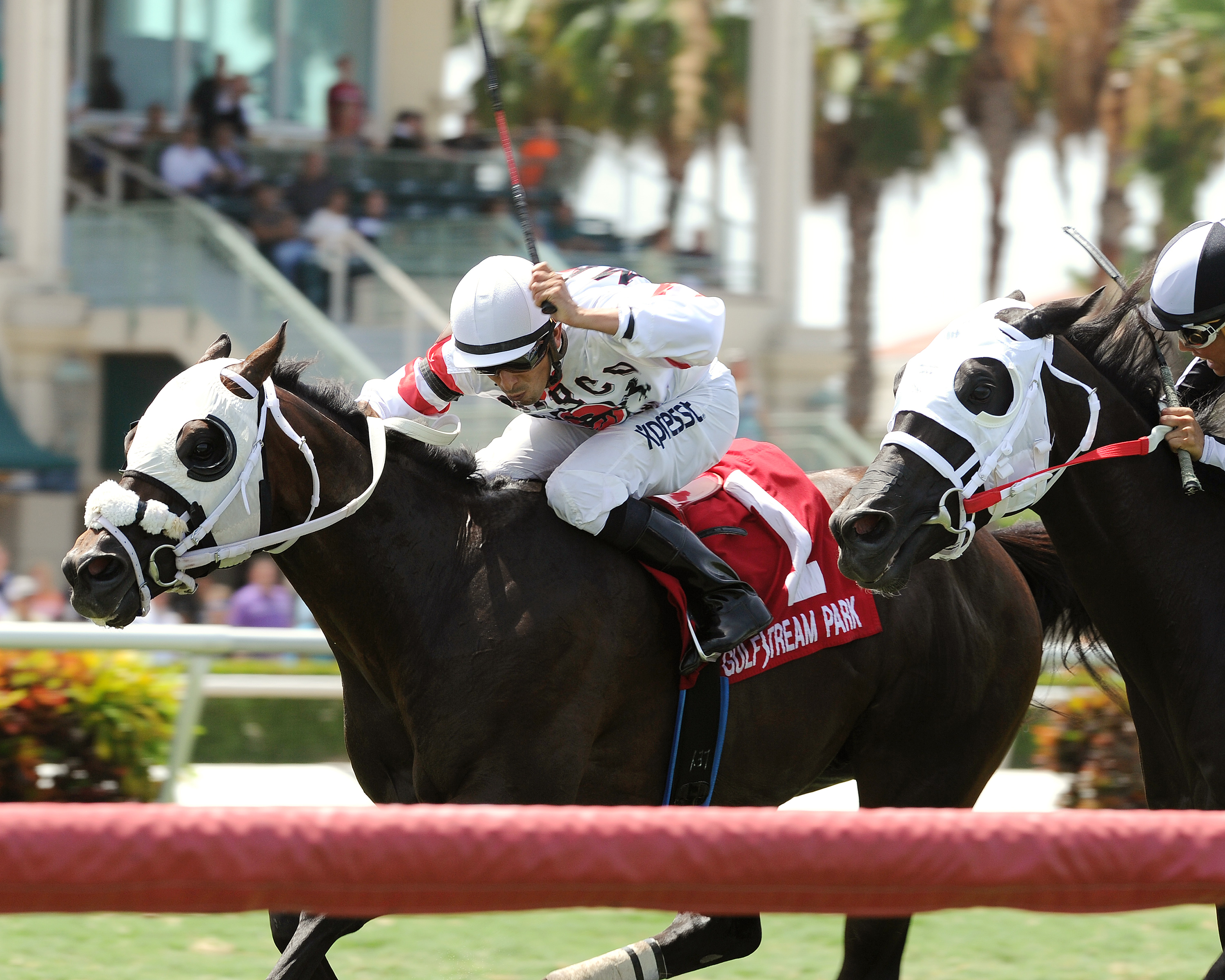 Successful Native wins the Bob Umphrey Turf Sprint