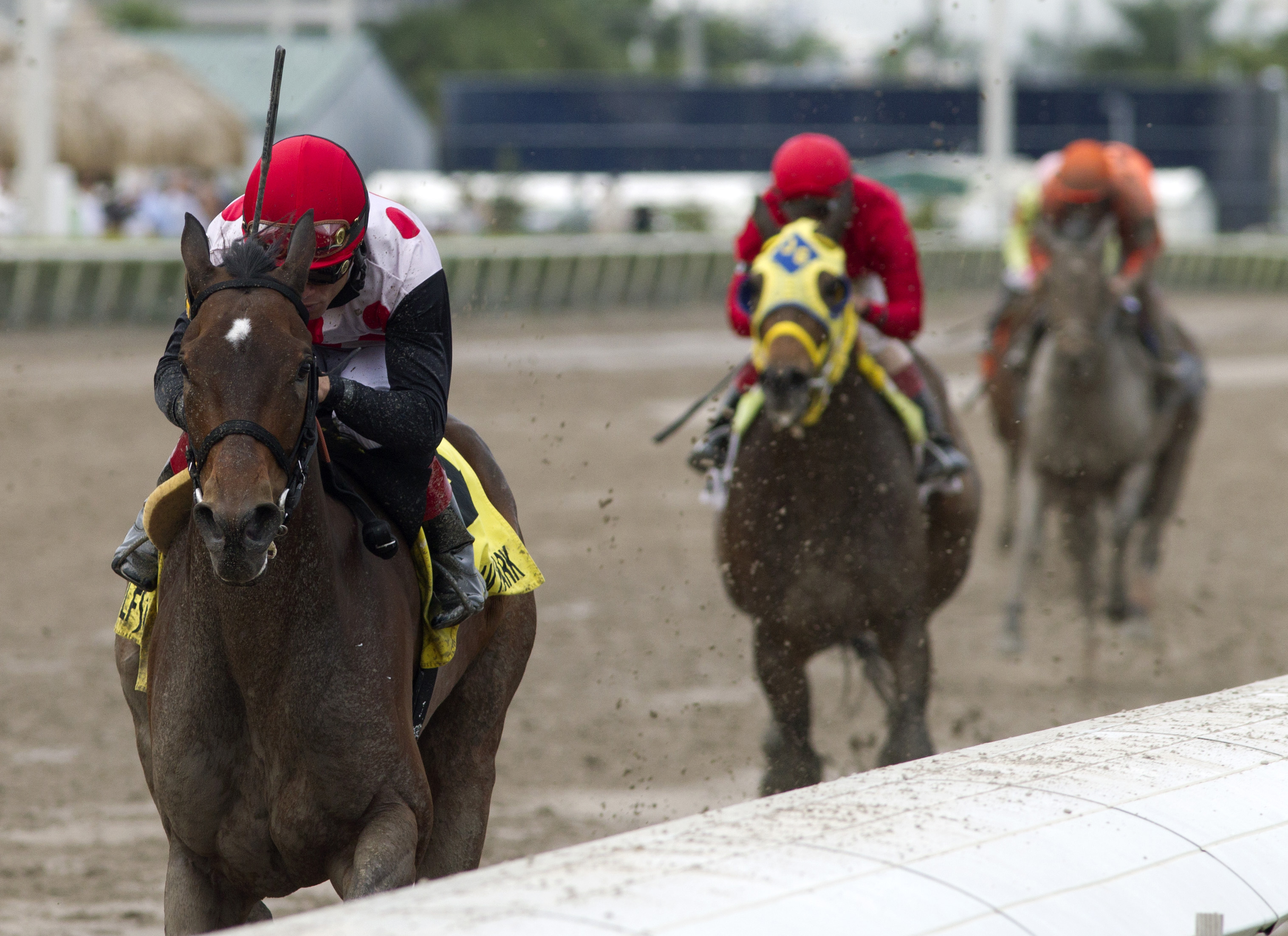 Successful Song, Sunshine Millions Distaff