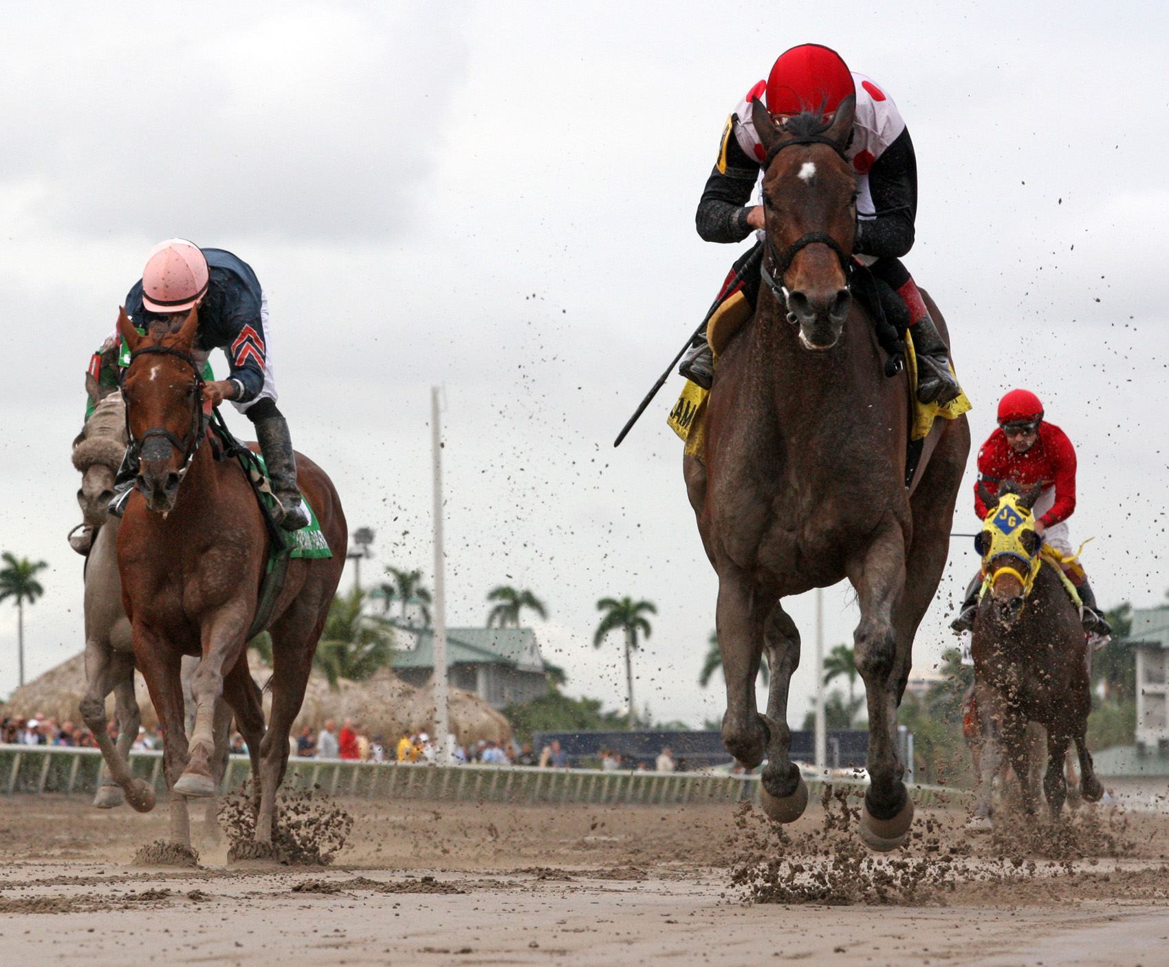 Successful Song, Sunshine Millions Distaff Millions