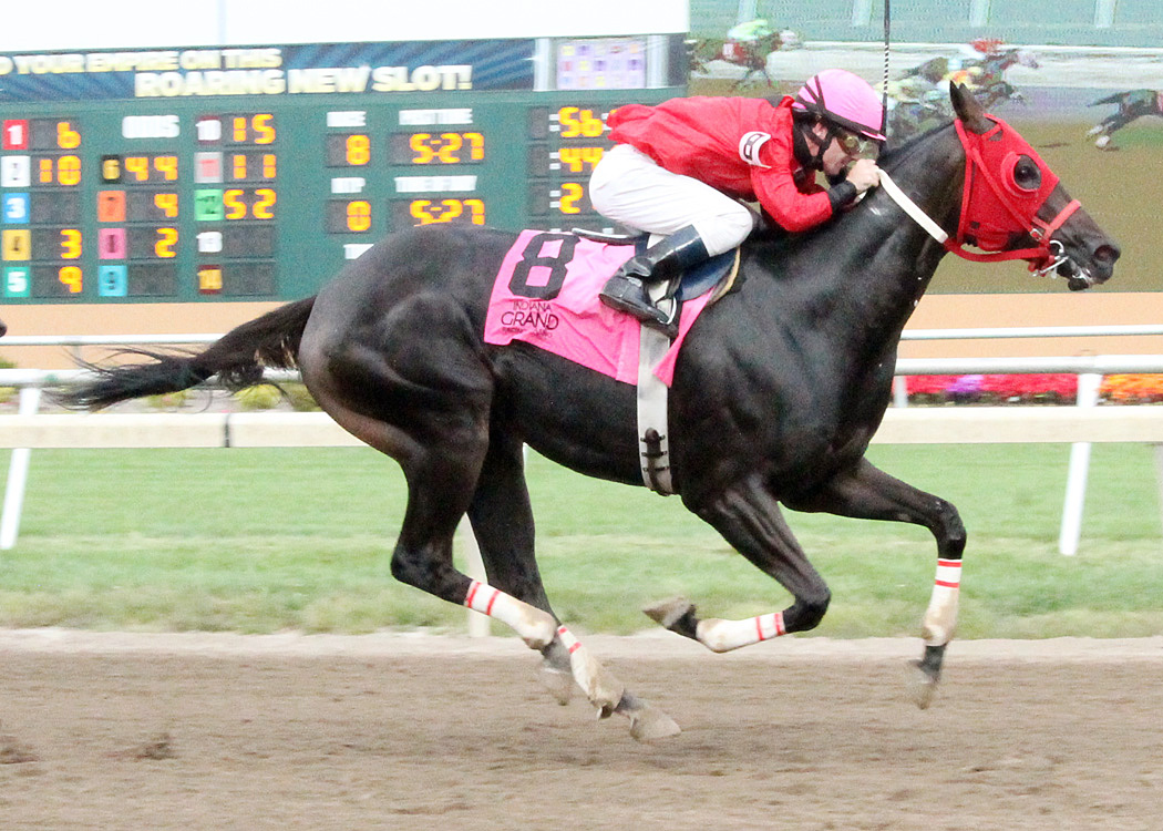 Sucess Is Racing wins the 2014 Brickyard Stakes