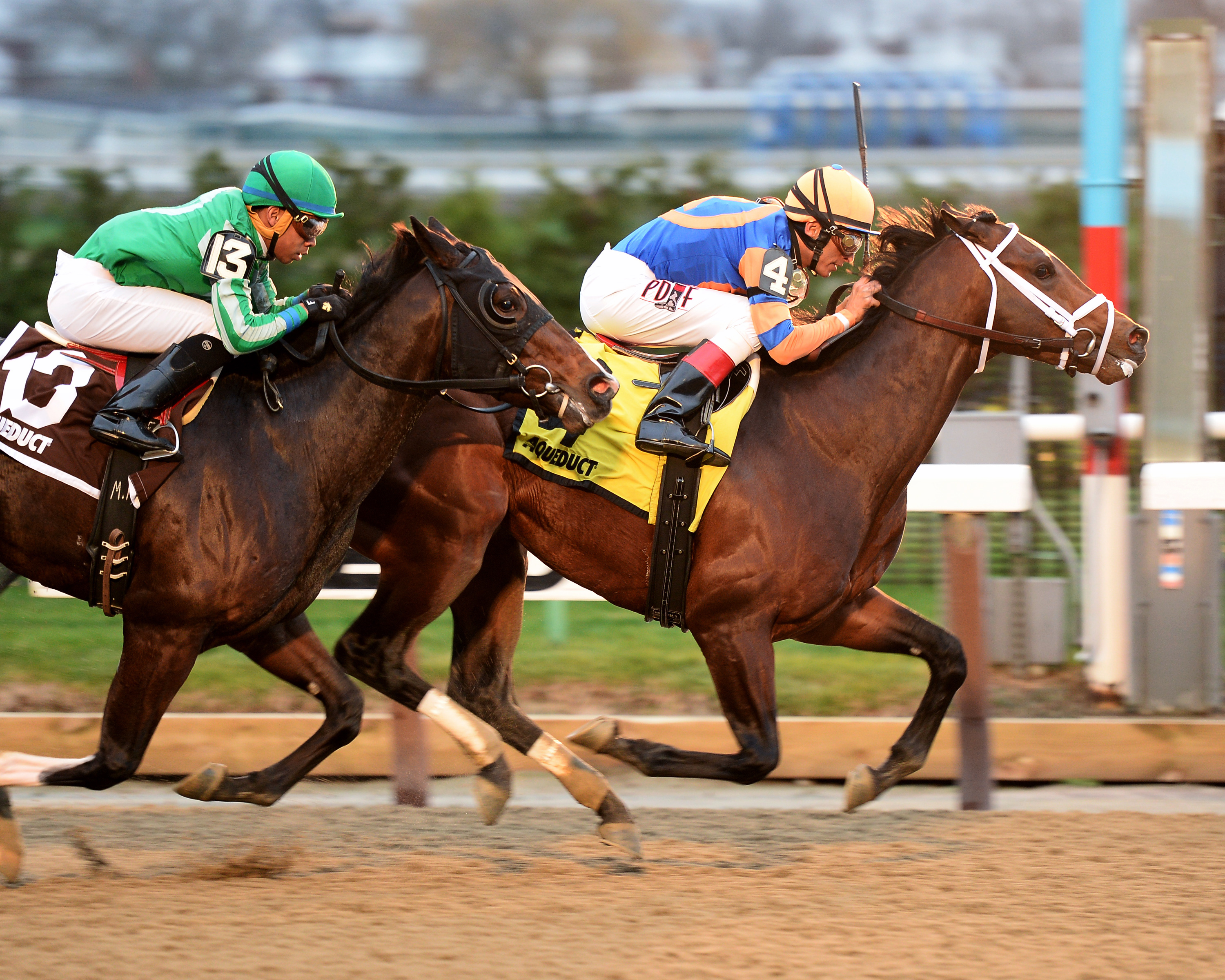 Sudden Surprise wins the Great White Way