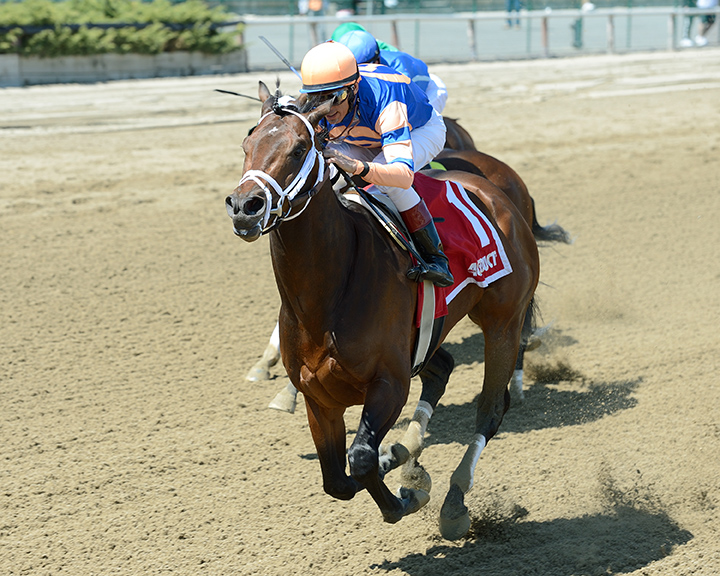 Sudden Surprise wins the 2016 Times Square