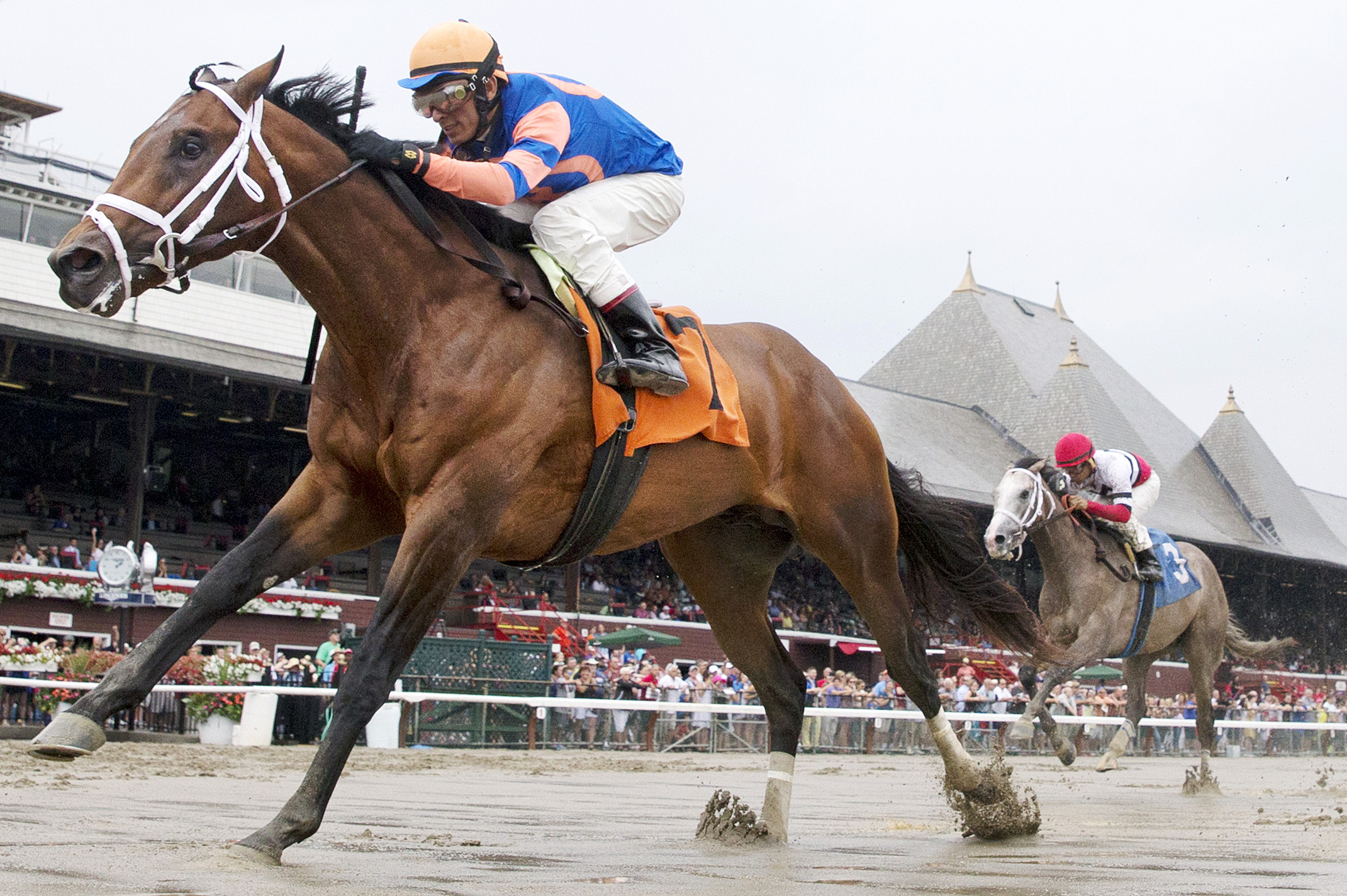 Sudden Surprise wins a maiden race