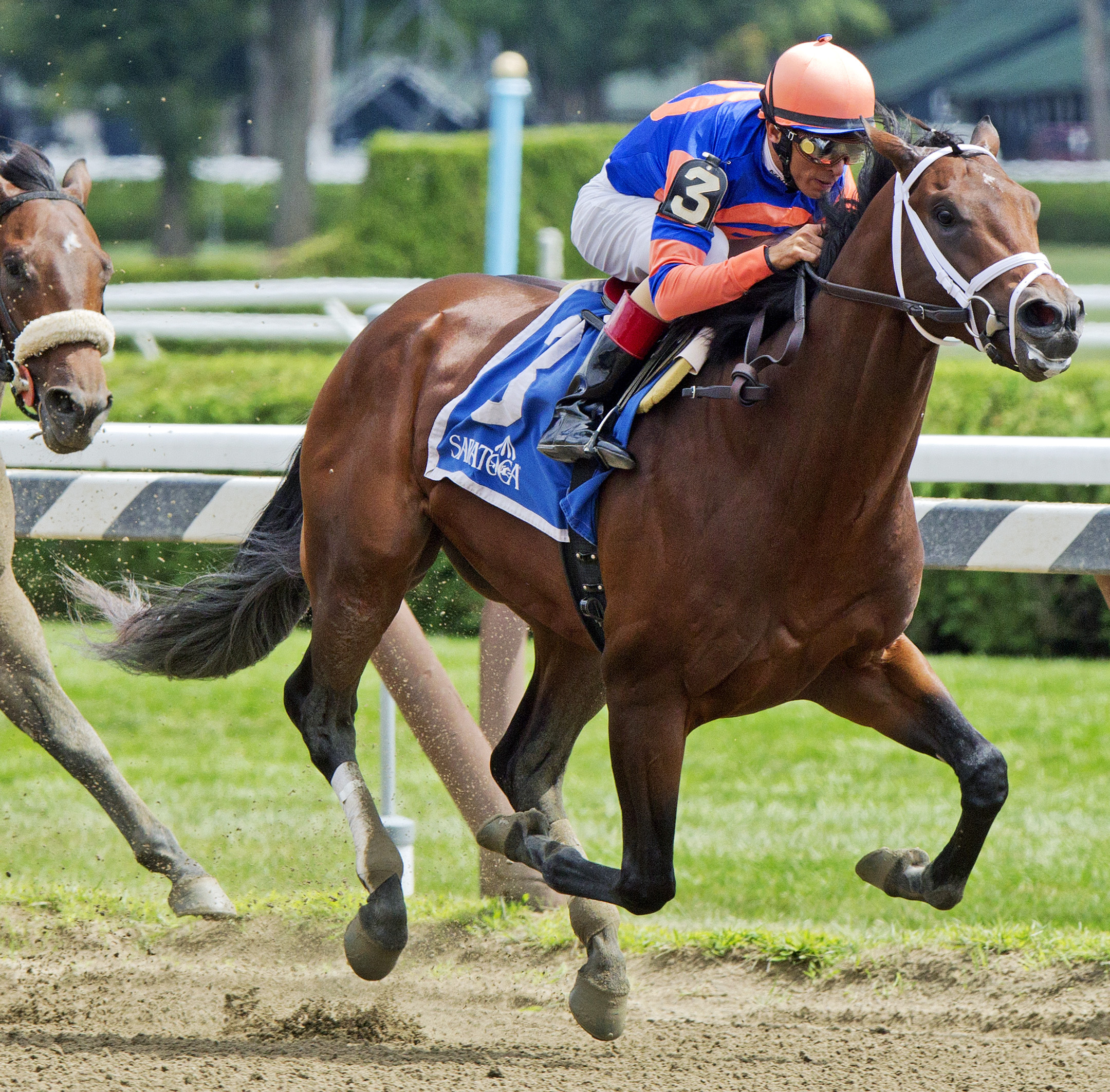 Sudden Surprise wins the Funny Cide Stakes