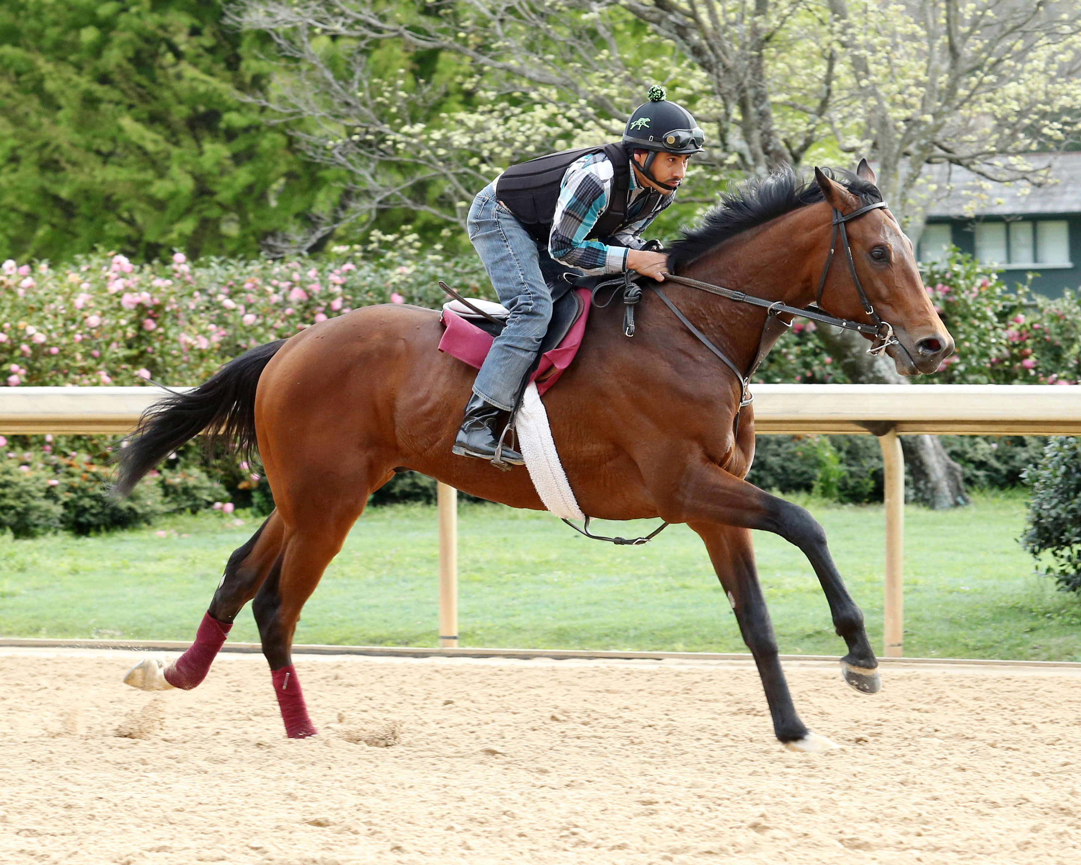 Suddenbreakingnews gallops at Oaklawn on March 17