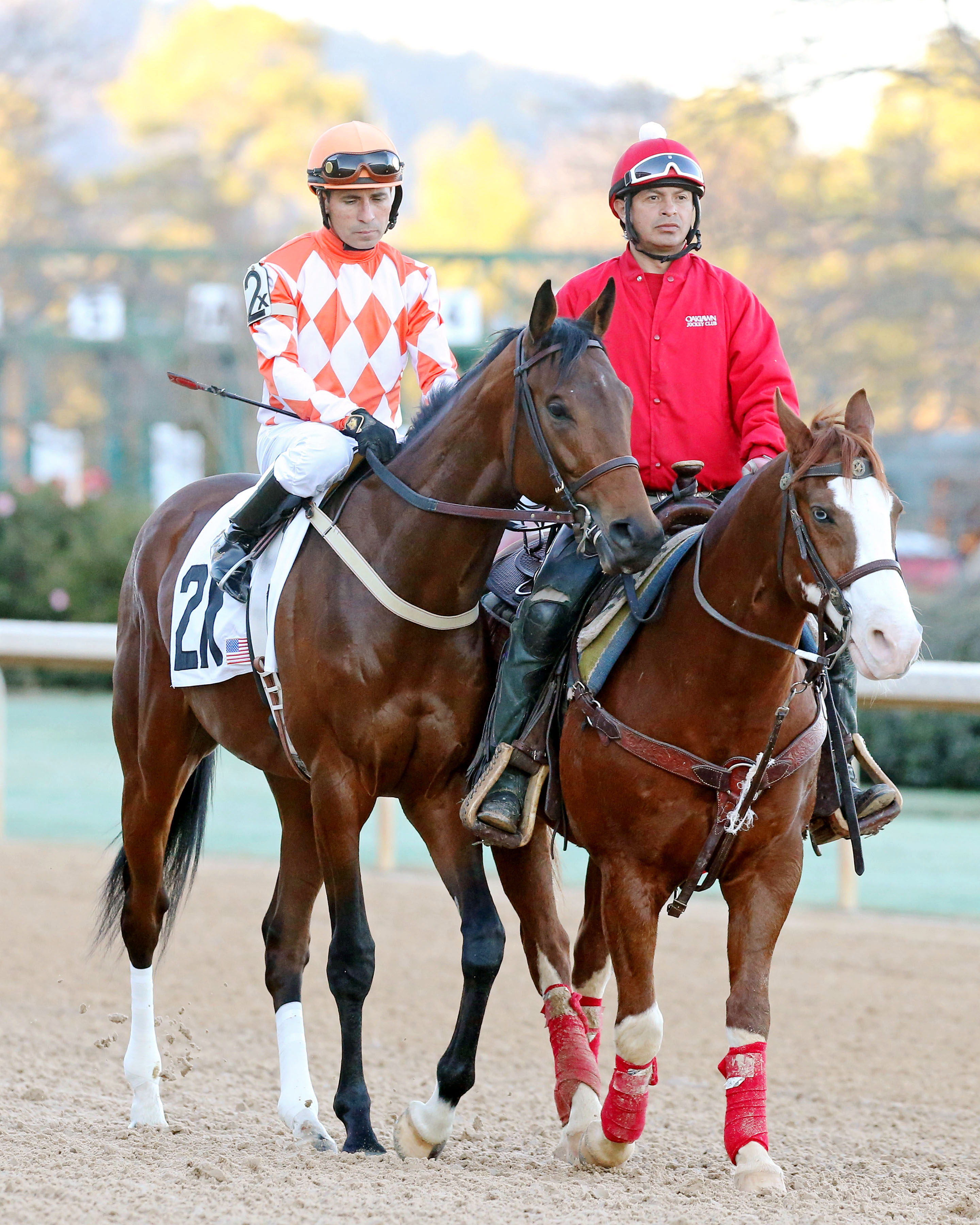 Luis Quinonez and Suddenbreakingnews