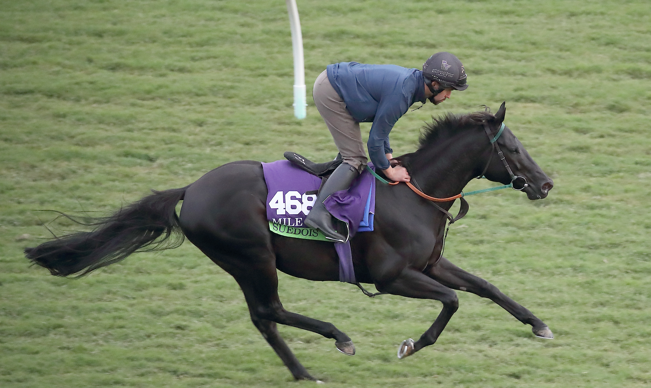Suedois trains at Del Mar on 11.2.17