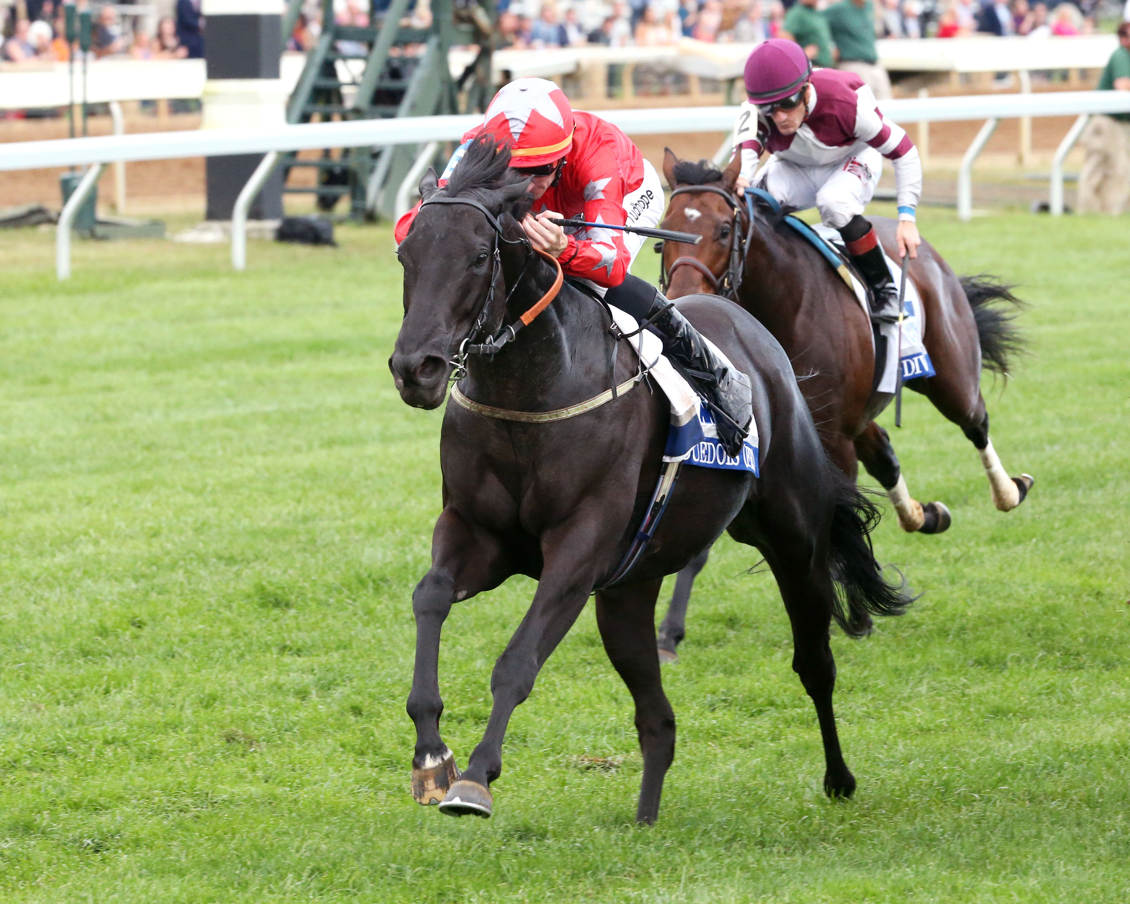 Suedois wins the 2017 Shadwell Turf Mile