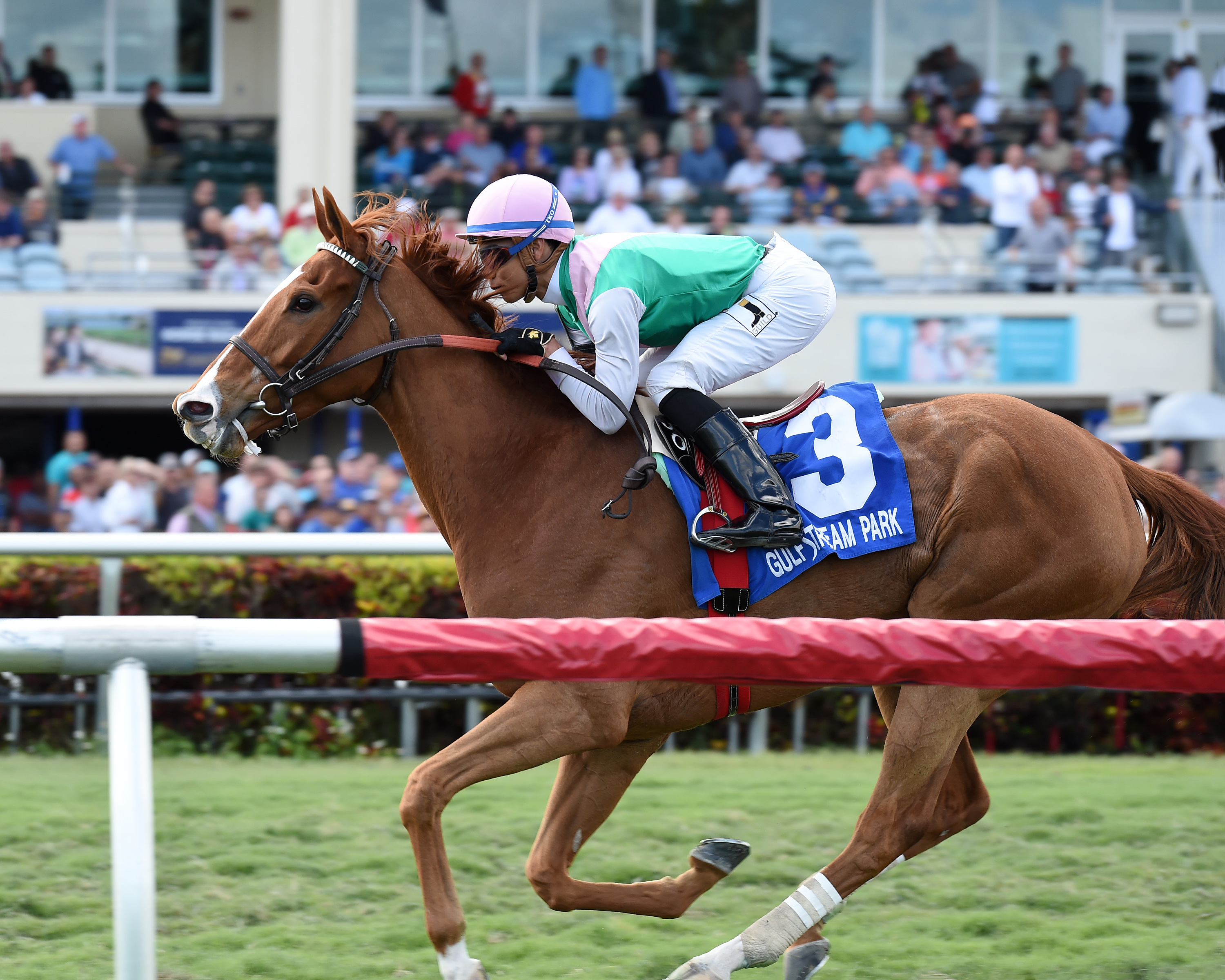 Suffused 3-4-2017