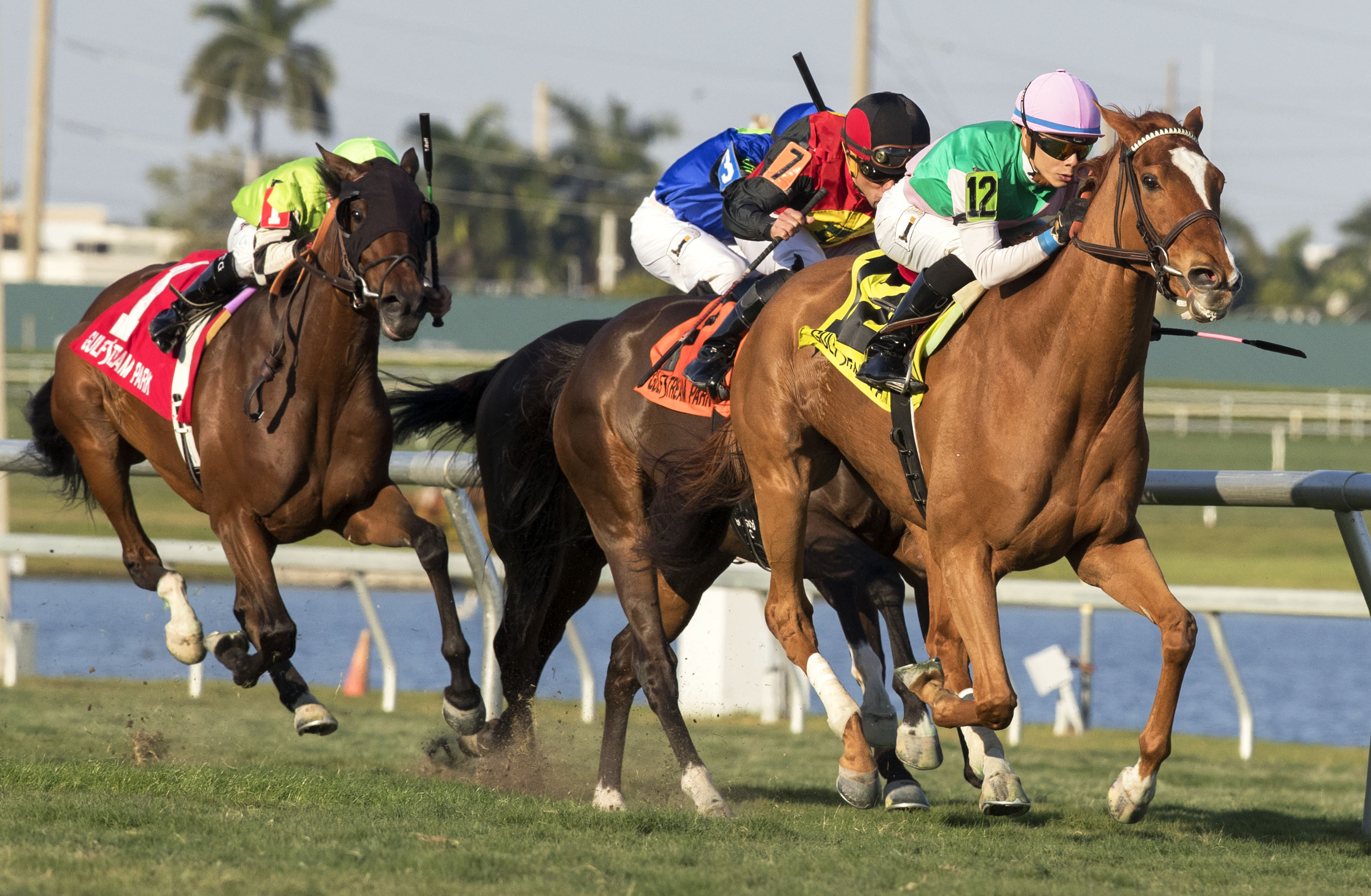Suffused