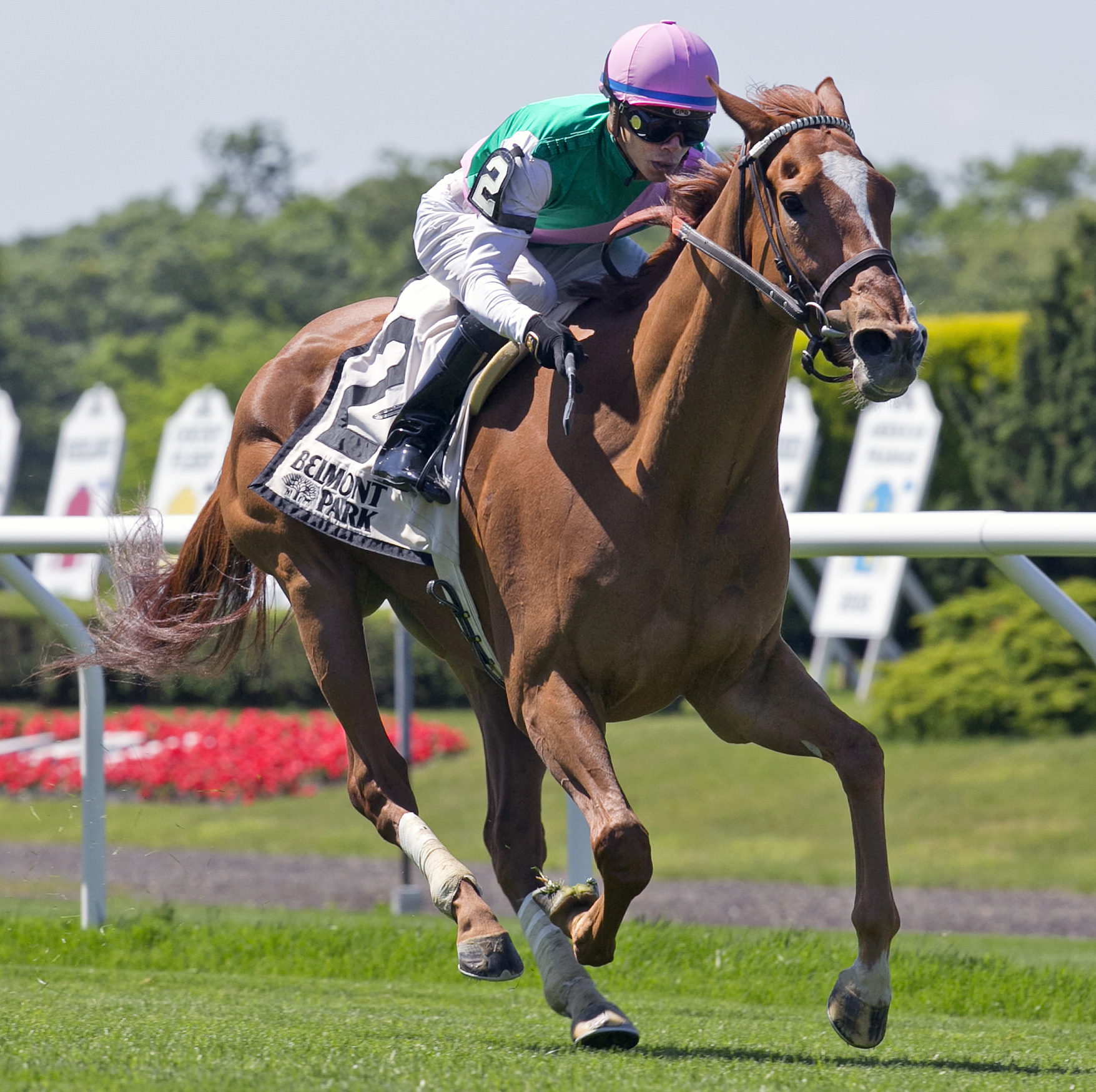 Suffused wins the Belmont Coronation Invitational